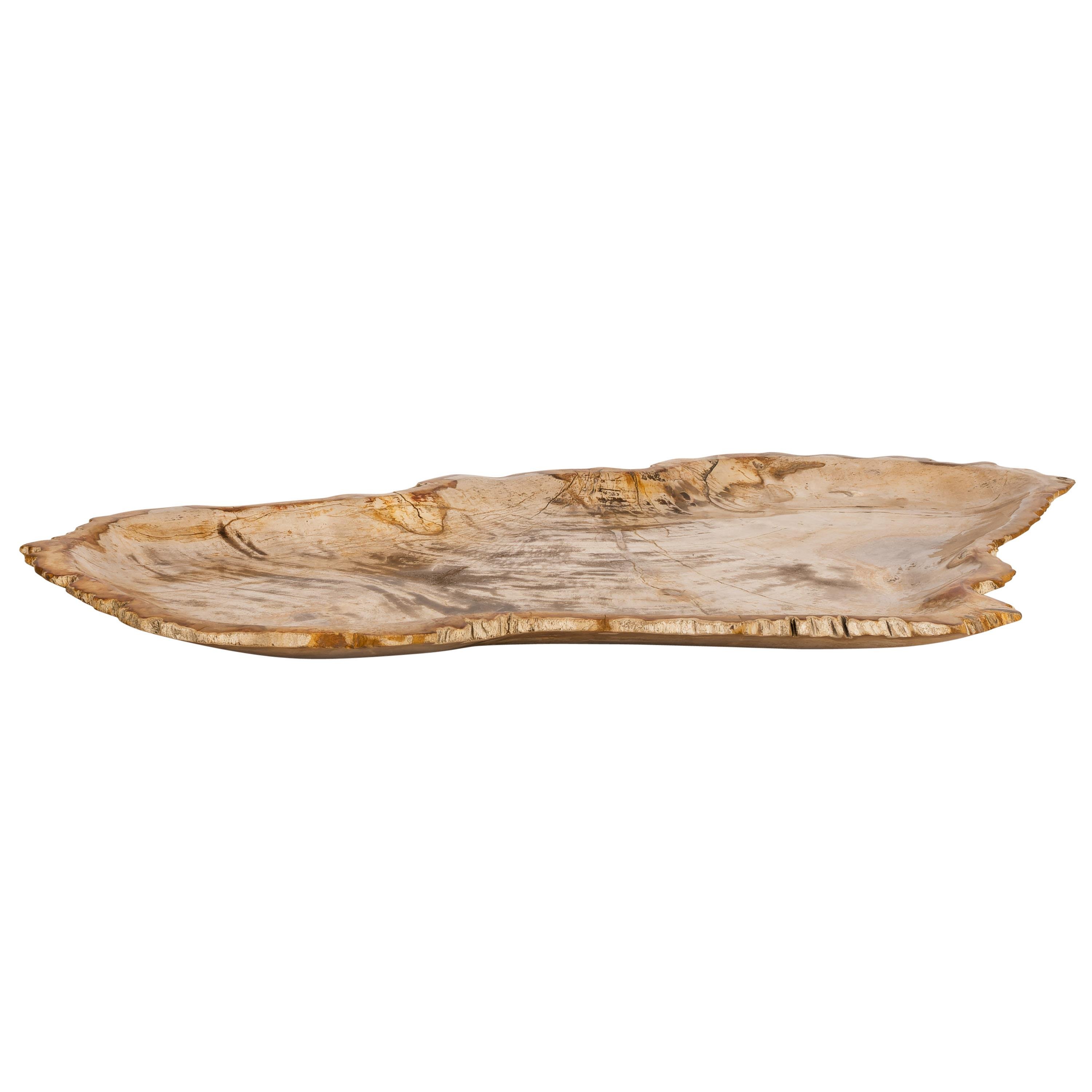 Dekoratif Bowl Fosil Ağaç -58 cm x 37 cm x 3 cm