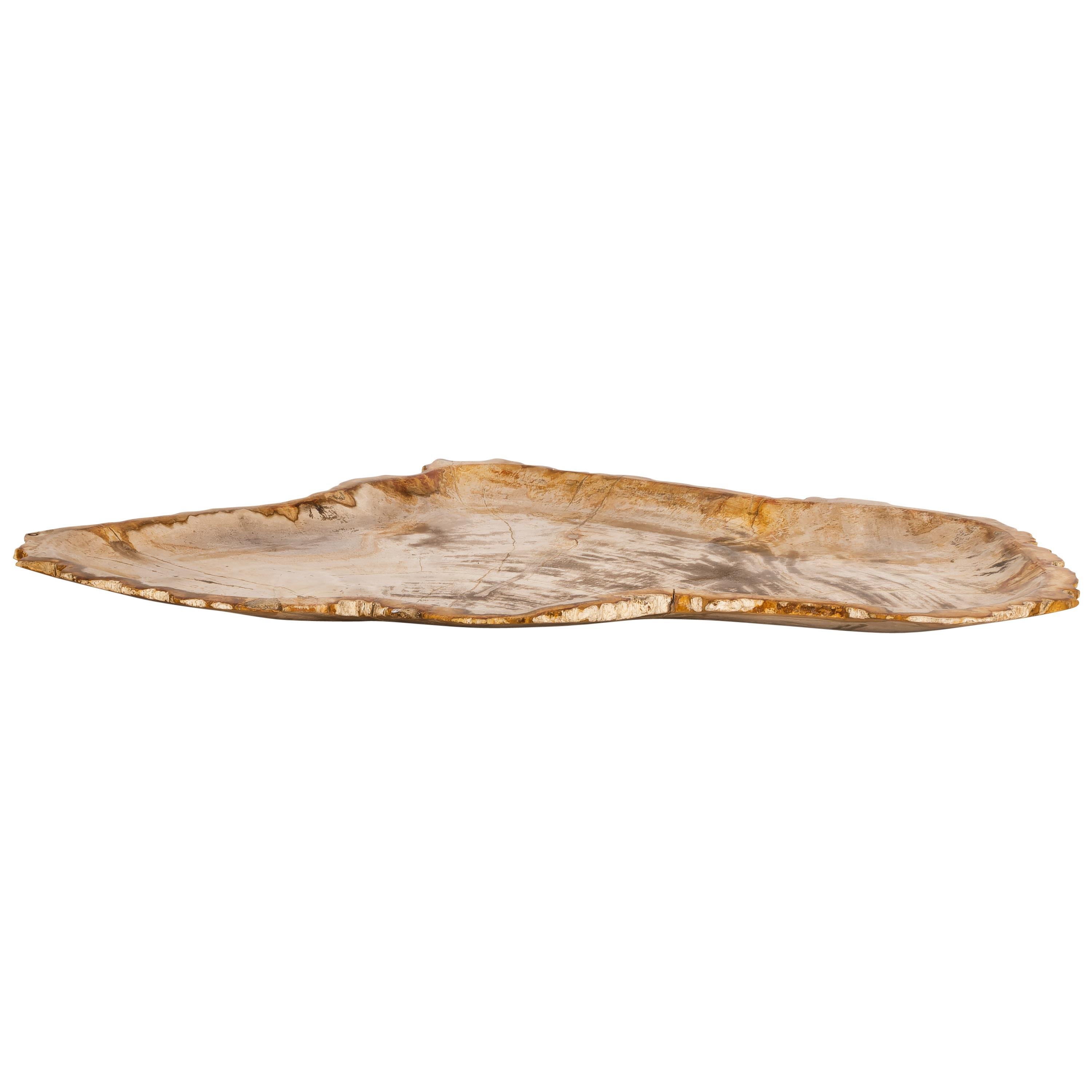 Dekoratif Bowl Fosil Ağaç -58 cm x 37 cm x 3 cm
