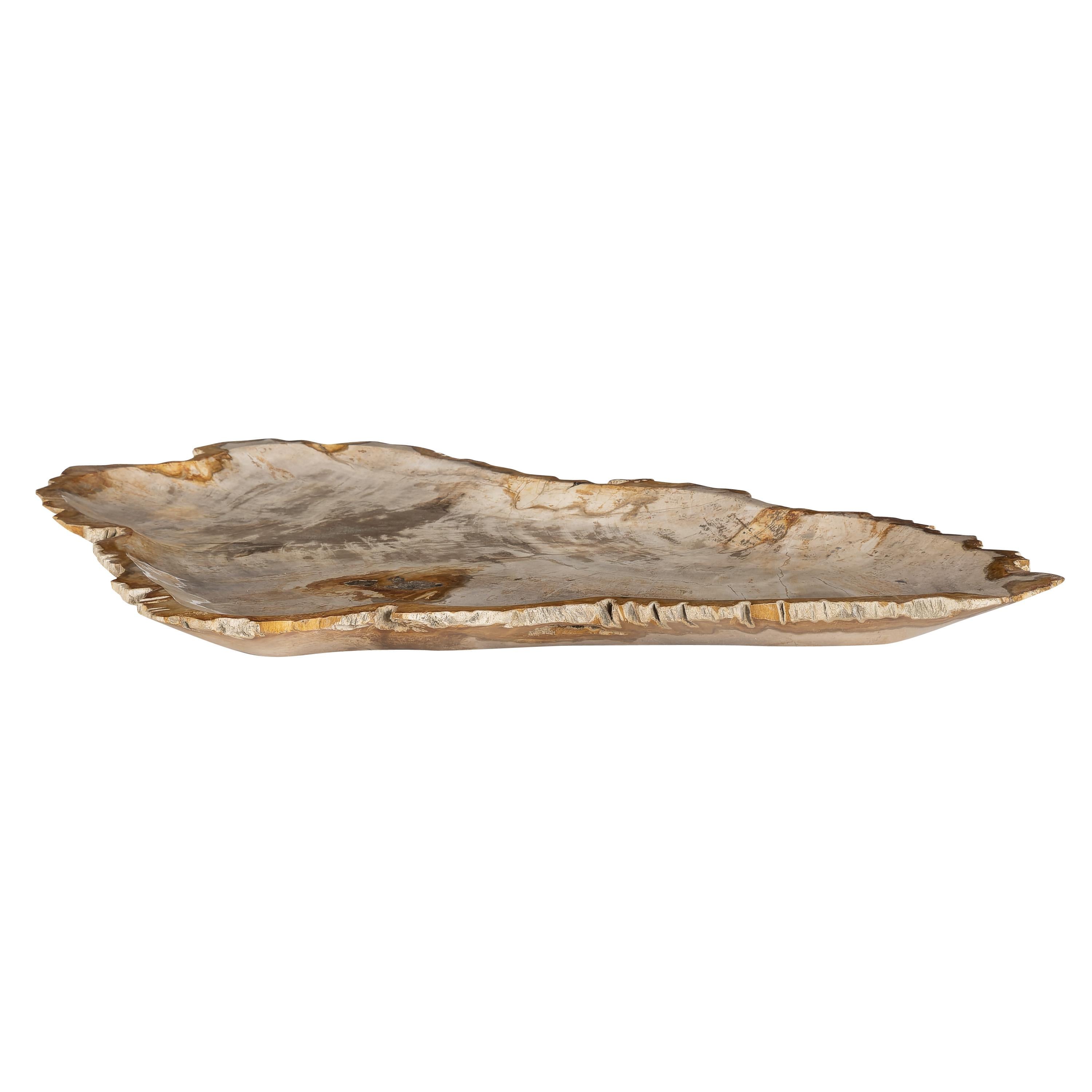 Dekoratif Bowl Fosil Ağaç -58 cm x 37 cm x 3 cm
