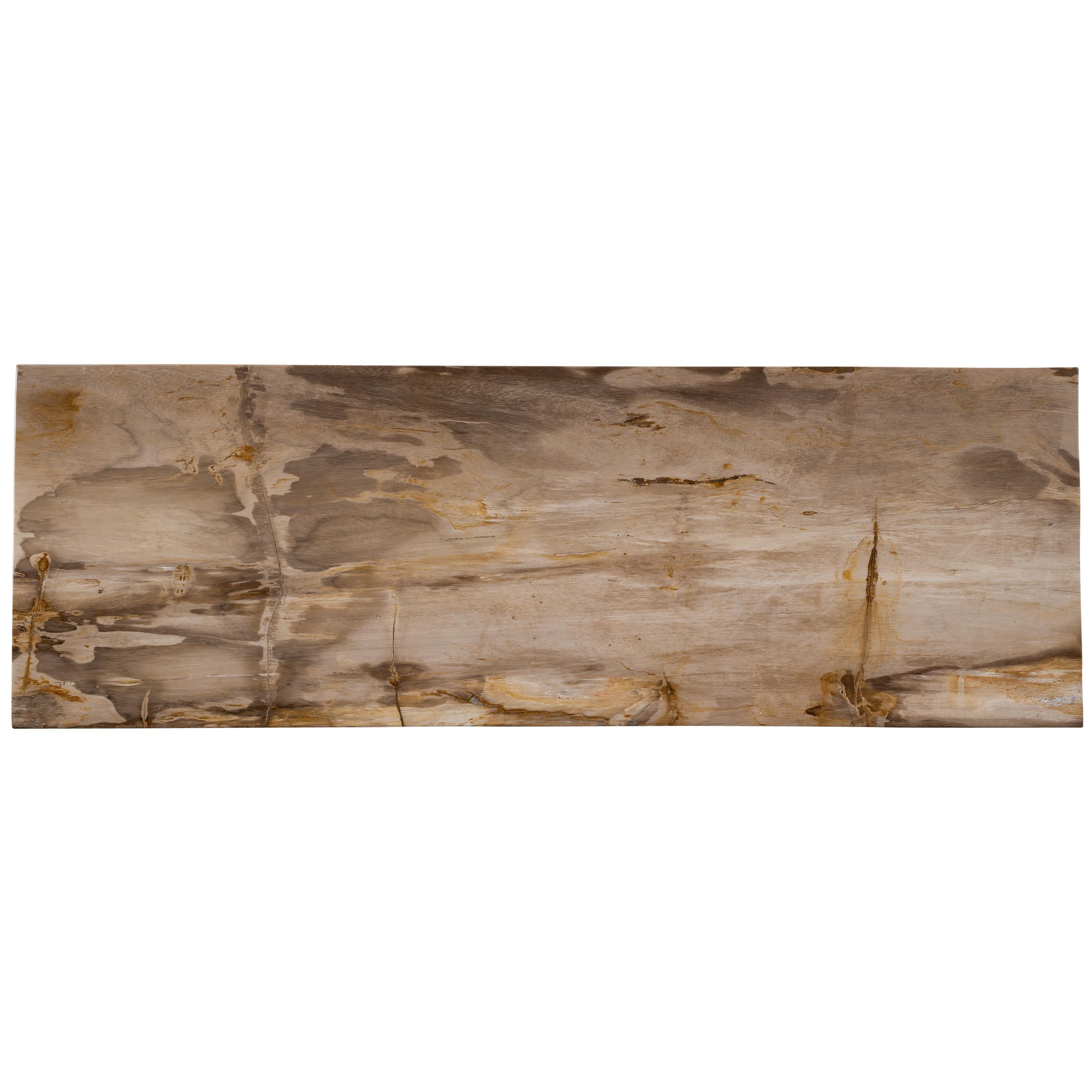 Konsol Fosil Ağaç -117 cm x 40 x 5 cm