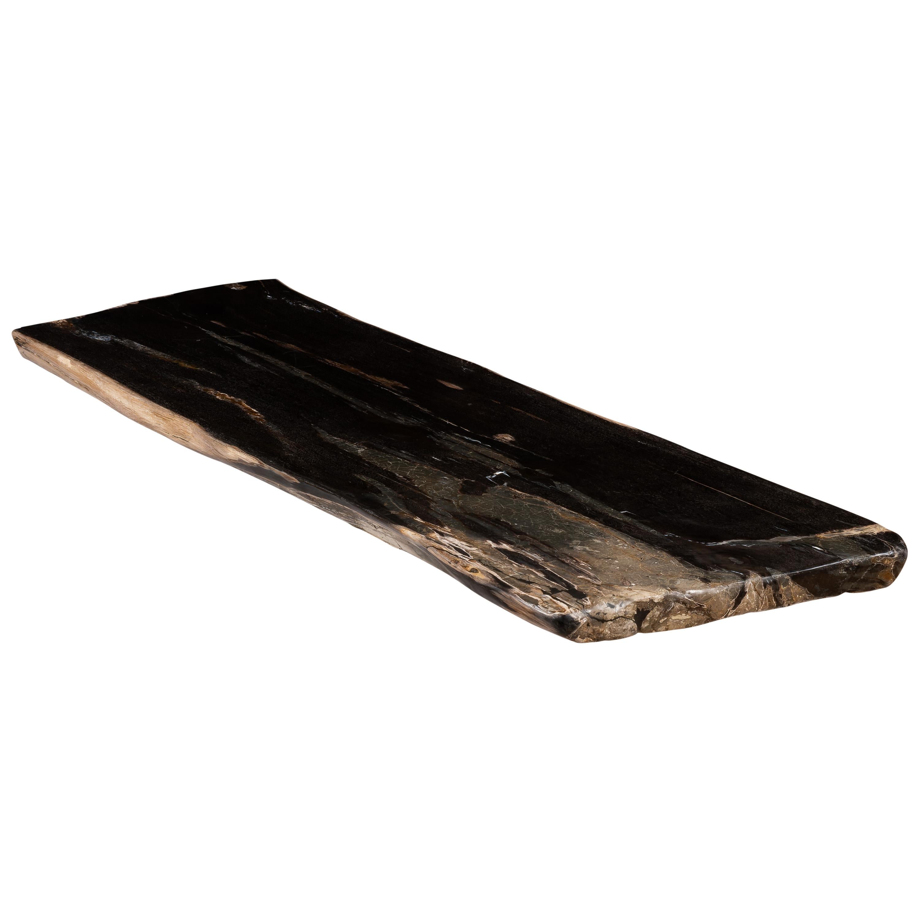 Konsol Fosil Ağaç -155cm x 40 cmx 5 cm