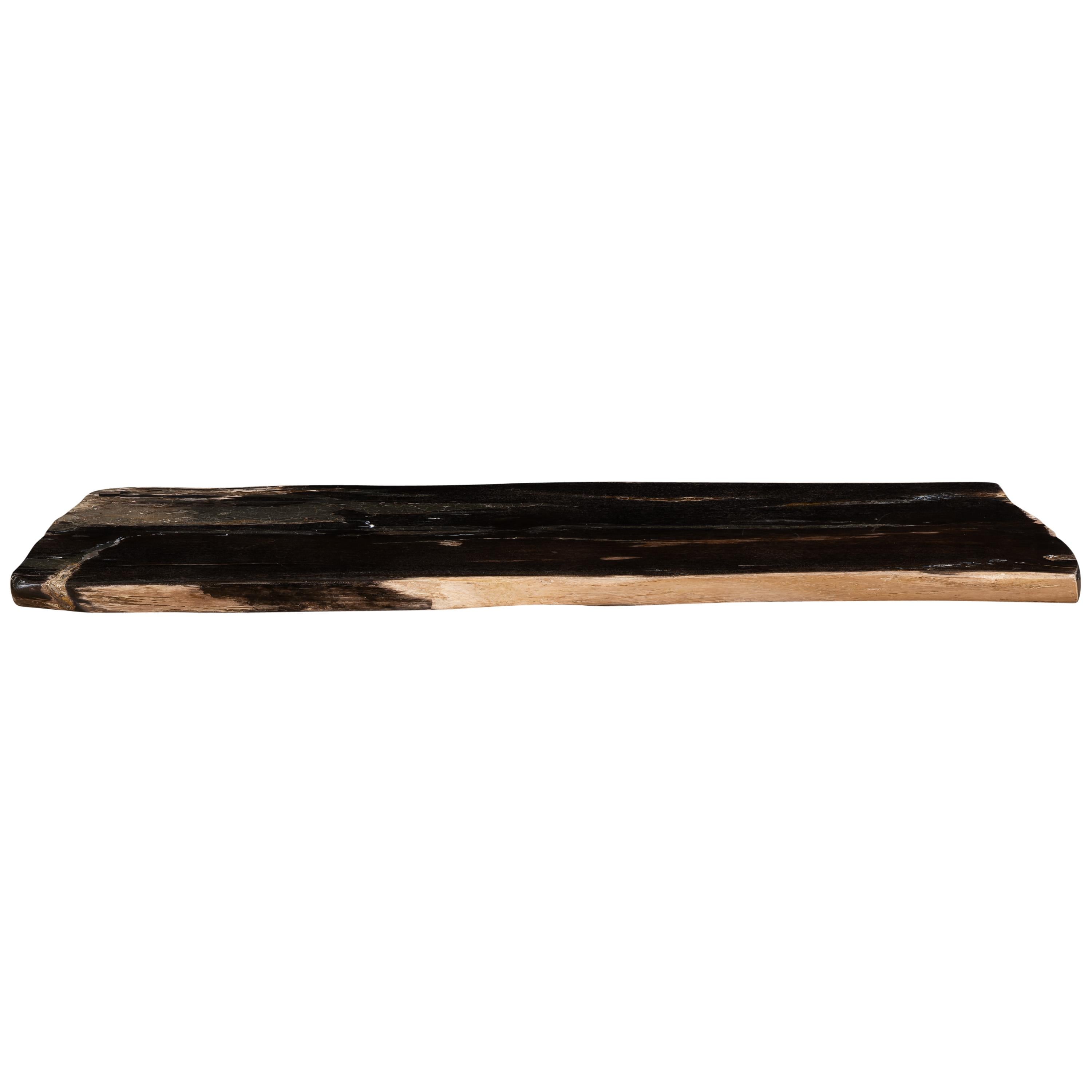 Konsol Fosil Ağaç -155cm x 40 cmx 5 cm