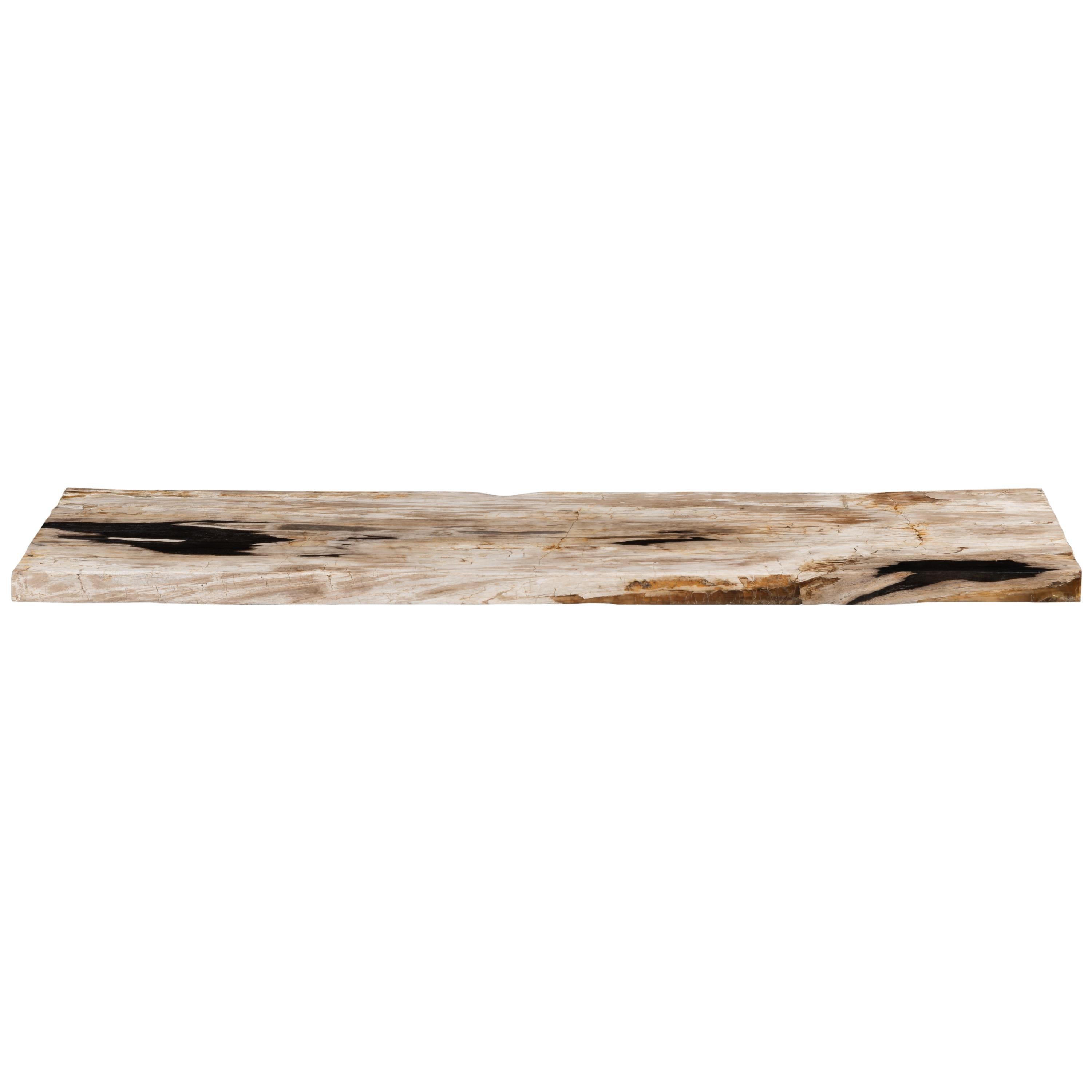 Konsol Fosil Ağaç  -160cm x 45cm x 5cm