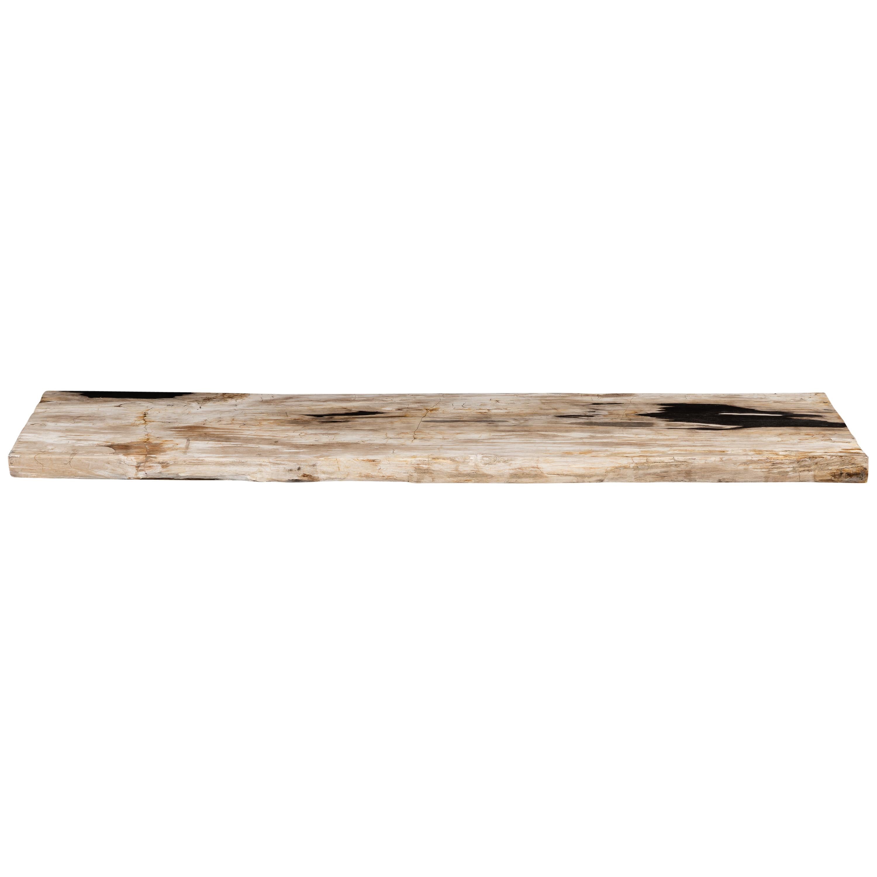 Konsol Fosil Ağaç  -160cm x 45cm x 5cm