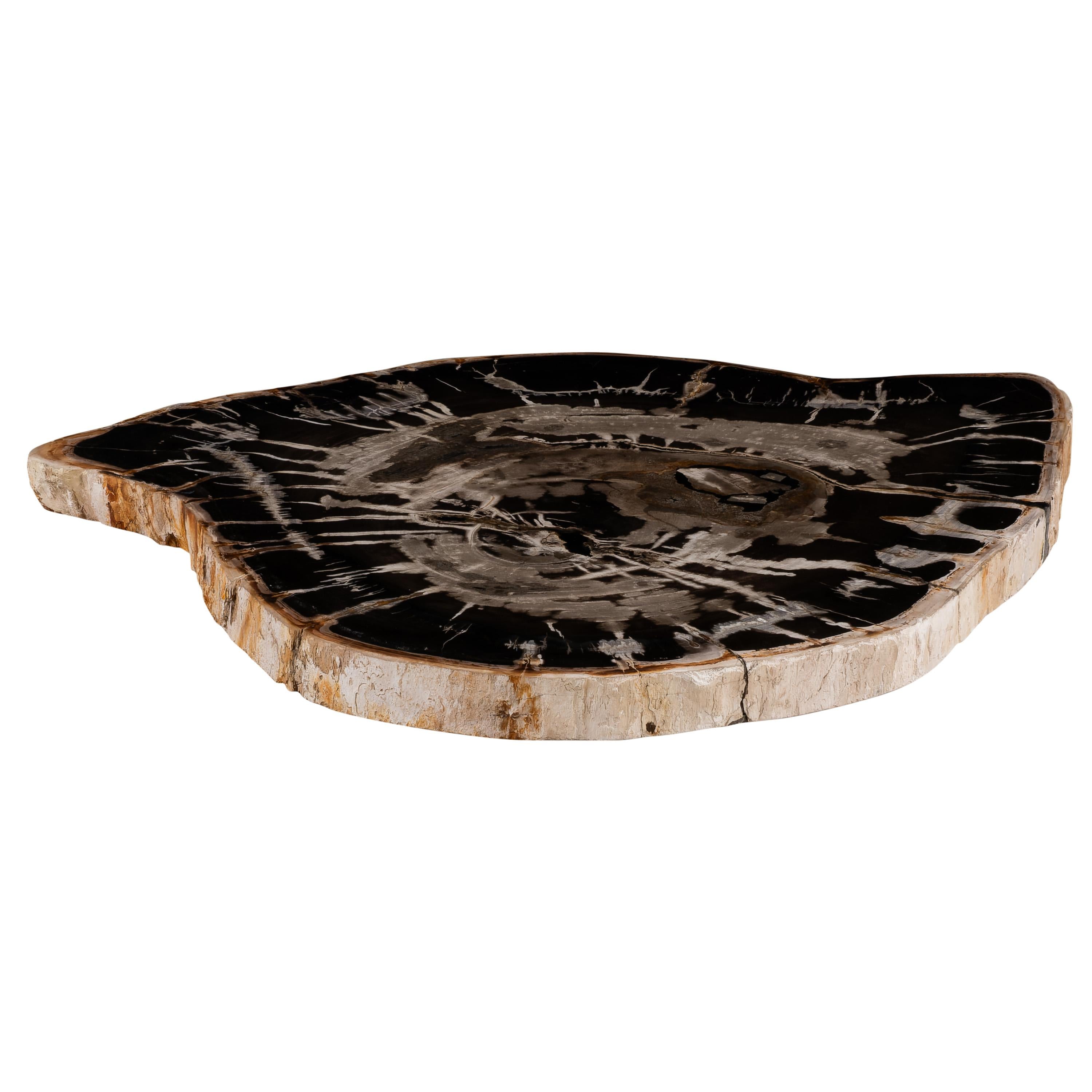 Orta Sehpa Fosil Ağaç -76 cm x 82 cm 5 cm