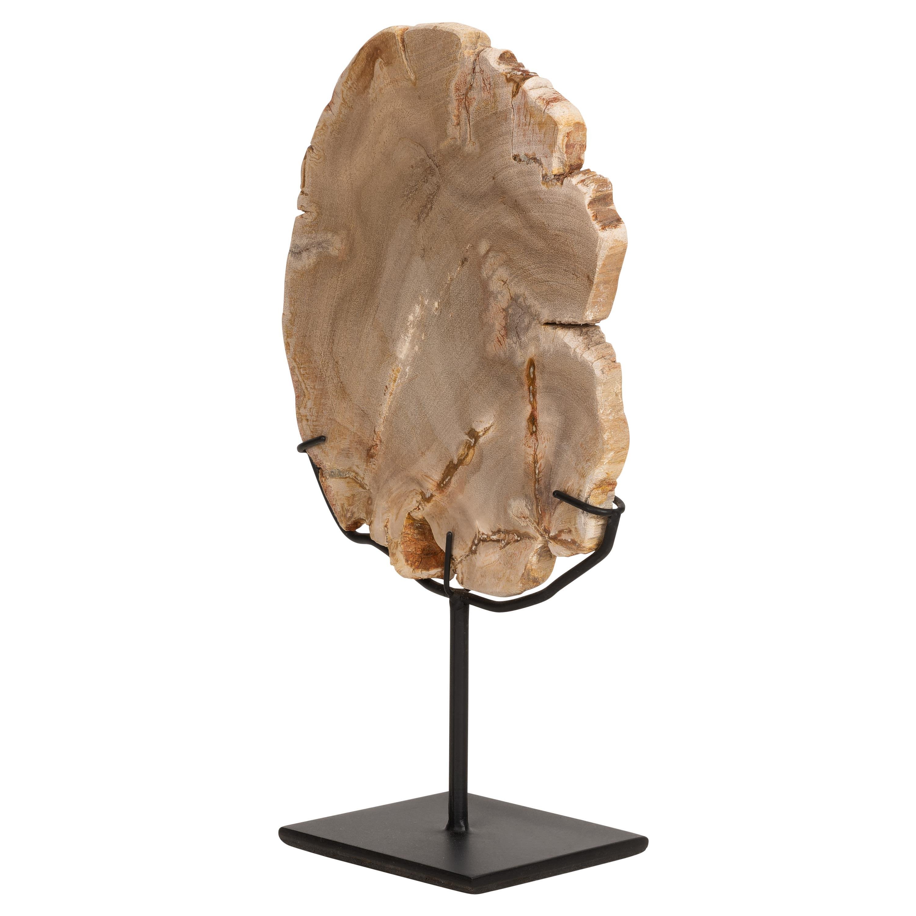 Standlı Dekoratif Aksesuar Fosil Ağaç-18 cm x 19 cm