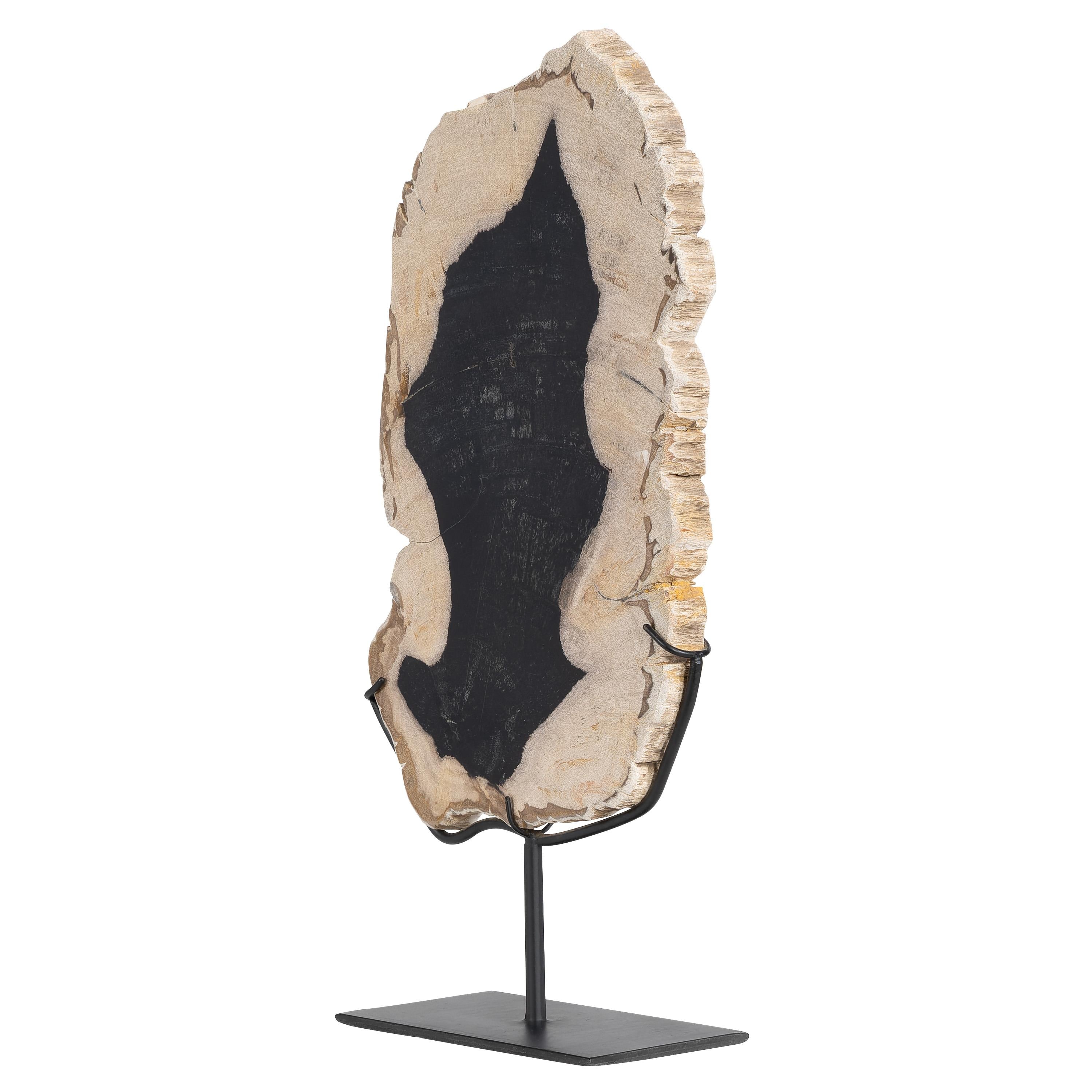 Standlı Dekoratif Aksesuar Fosil Ağaç-19 cm x 40 cm