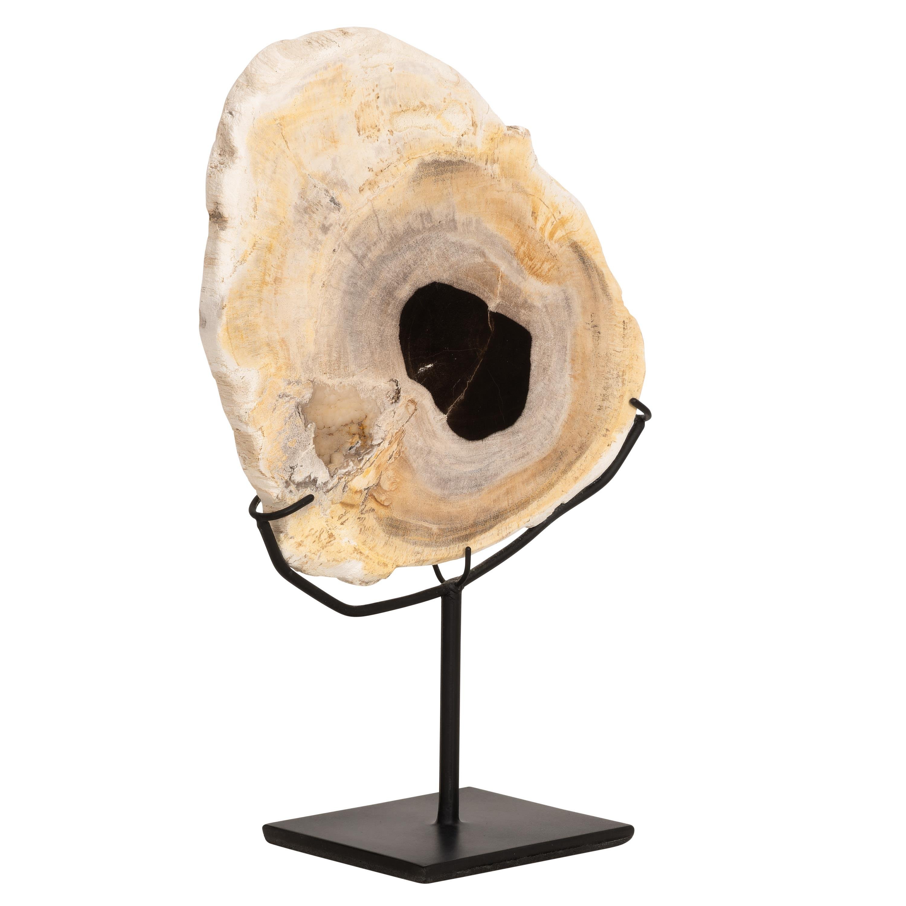 Standlı Dekoratif Aksesuar Fosil Ağaç-18 cm x 19 cm