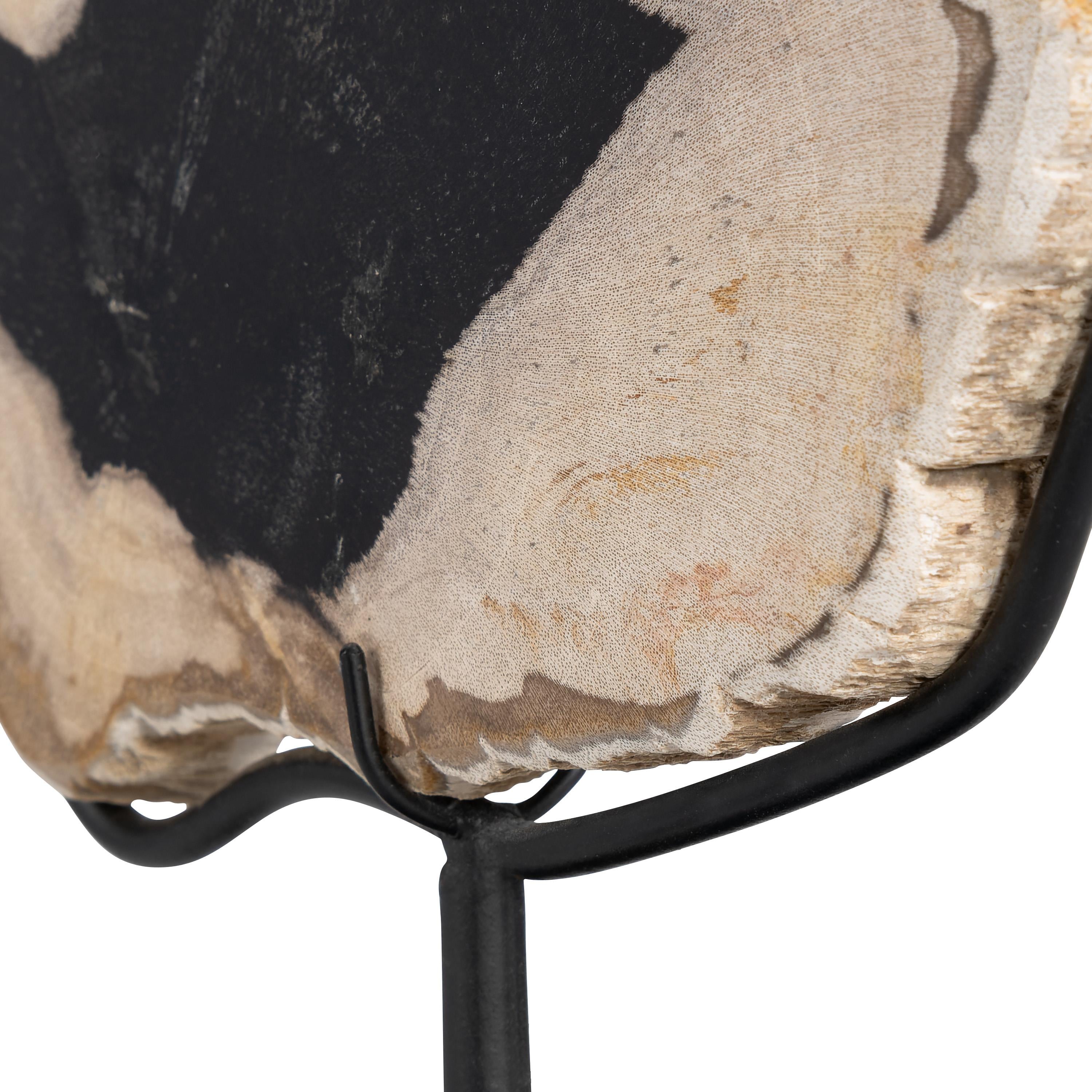Standlı Dekoratif Aksesuar Fosil Ağaç-19 cm x 40 cm