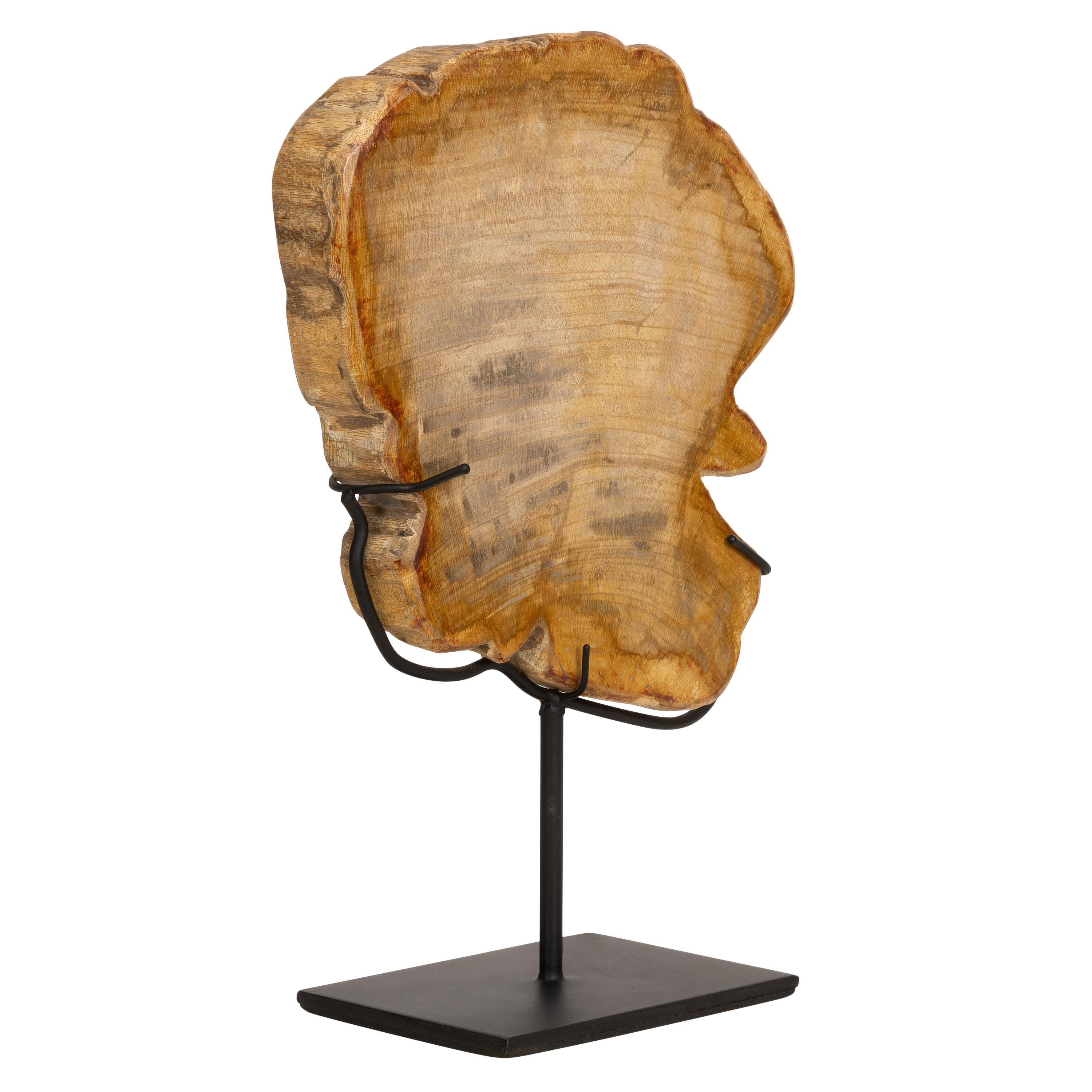 Standlı Dekoratif Aksesuar Fosil Ağaç-18 cm x 19 cm