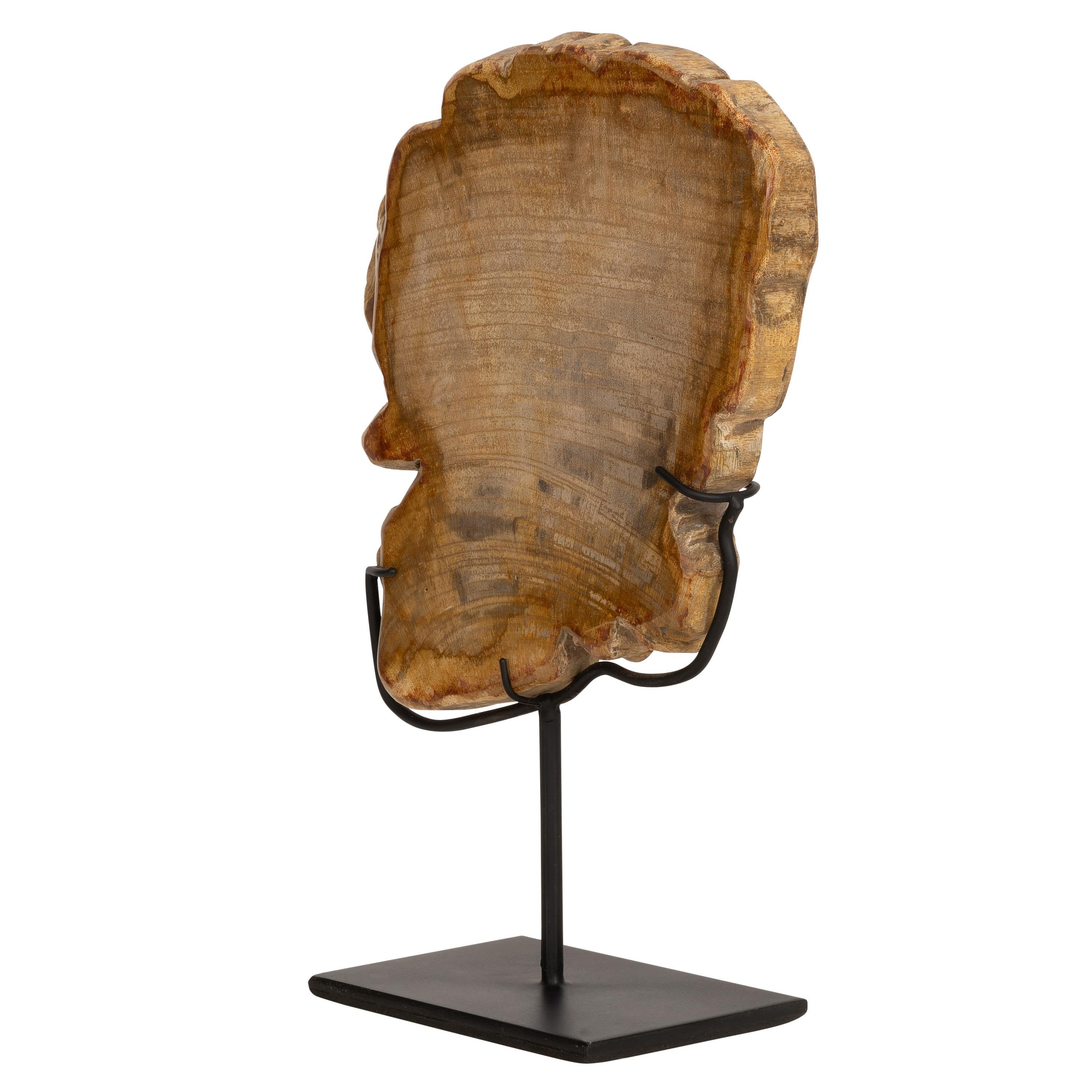 Standlı Dekoratif Aksesuar Fosil Ağaç-18 cm x 19 cm