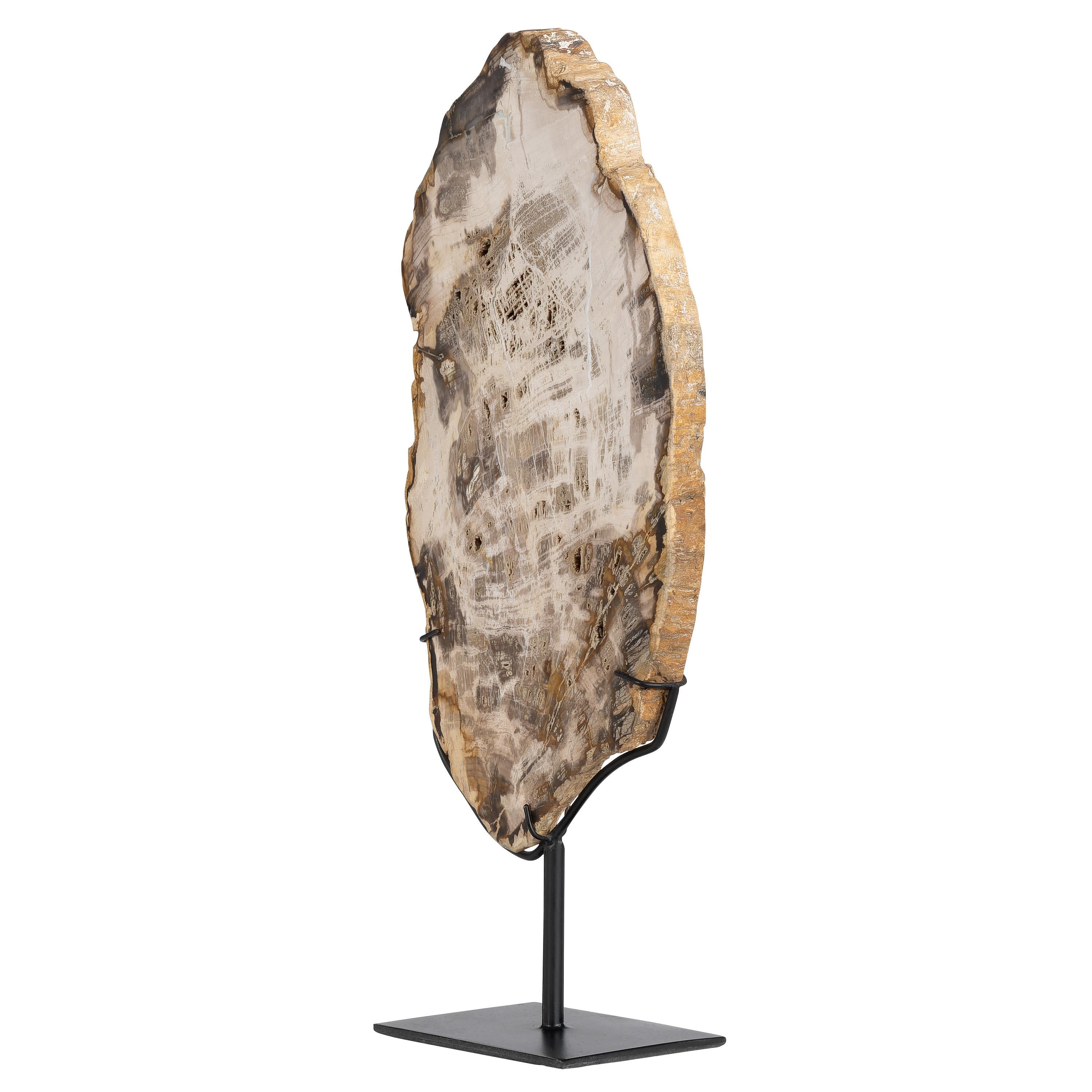 Standlı Dekoratif Aksesuar Fosil Ağaç-19 cm x 40 cm