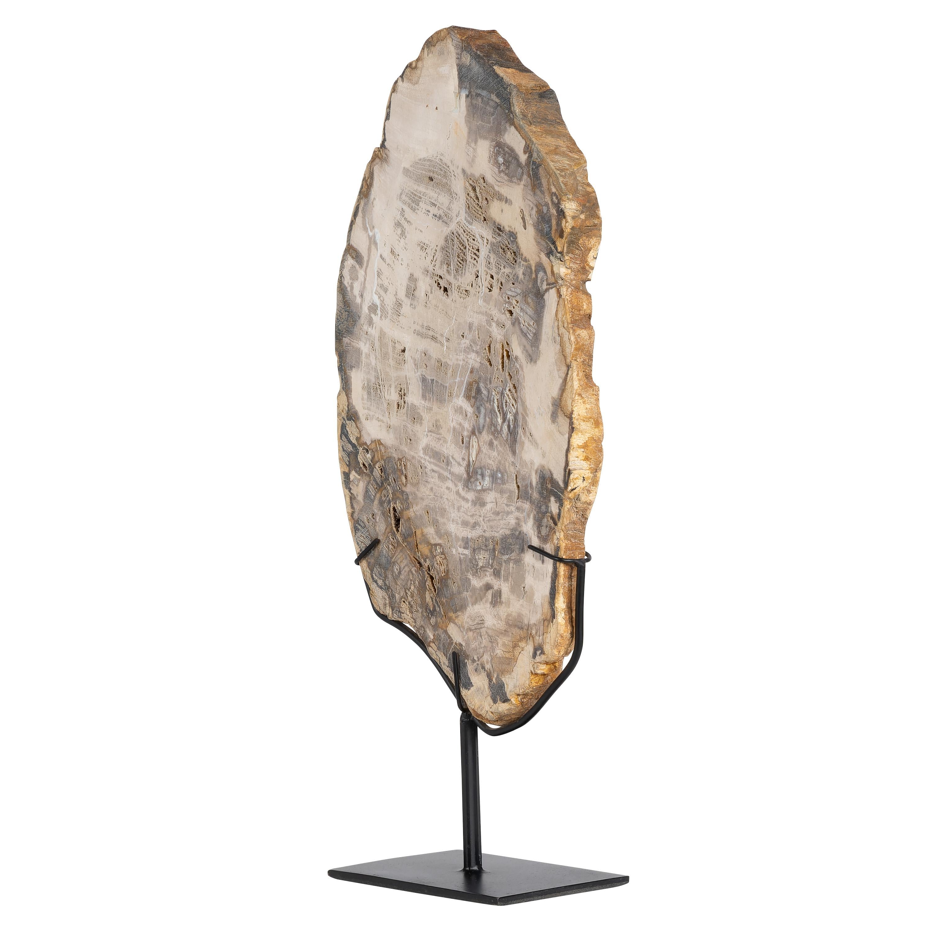 Standlı Dekoratif Aksesuar Fosil Ağaç-19 cm x 40 cm