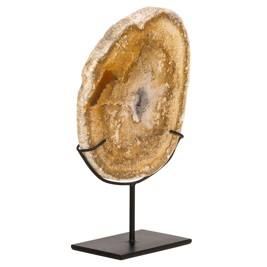 Standlı Dekoratif Aksesuar Fosil Ağaç-15 cm x 27 cm