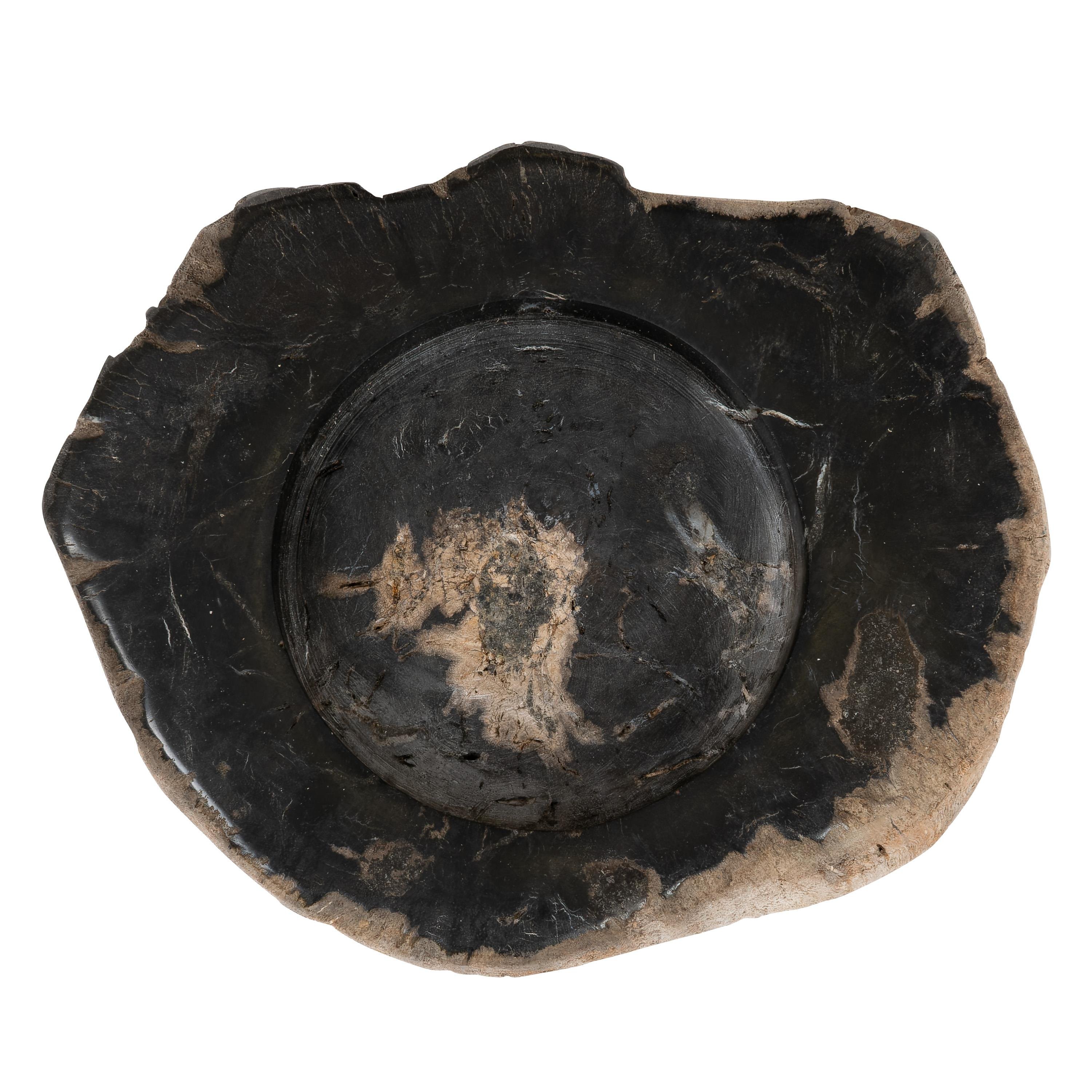 Yuvarlak Mumluk Fosil Ağaç - 12 cm x 7 cm