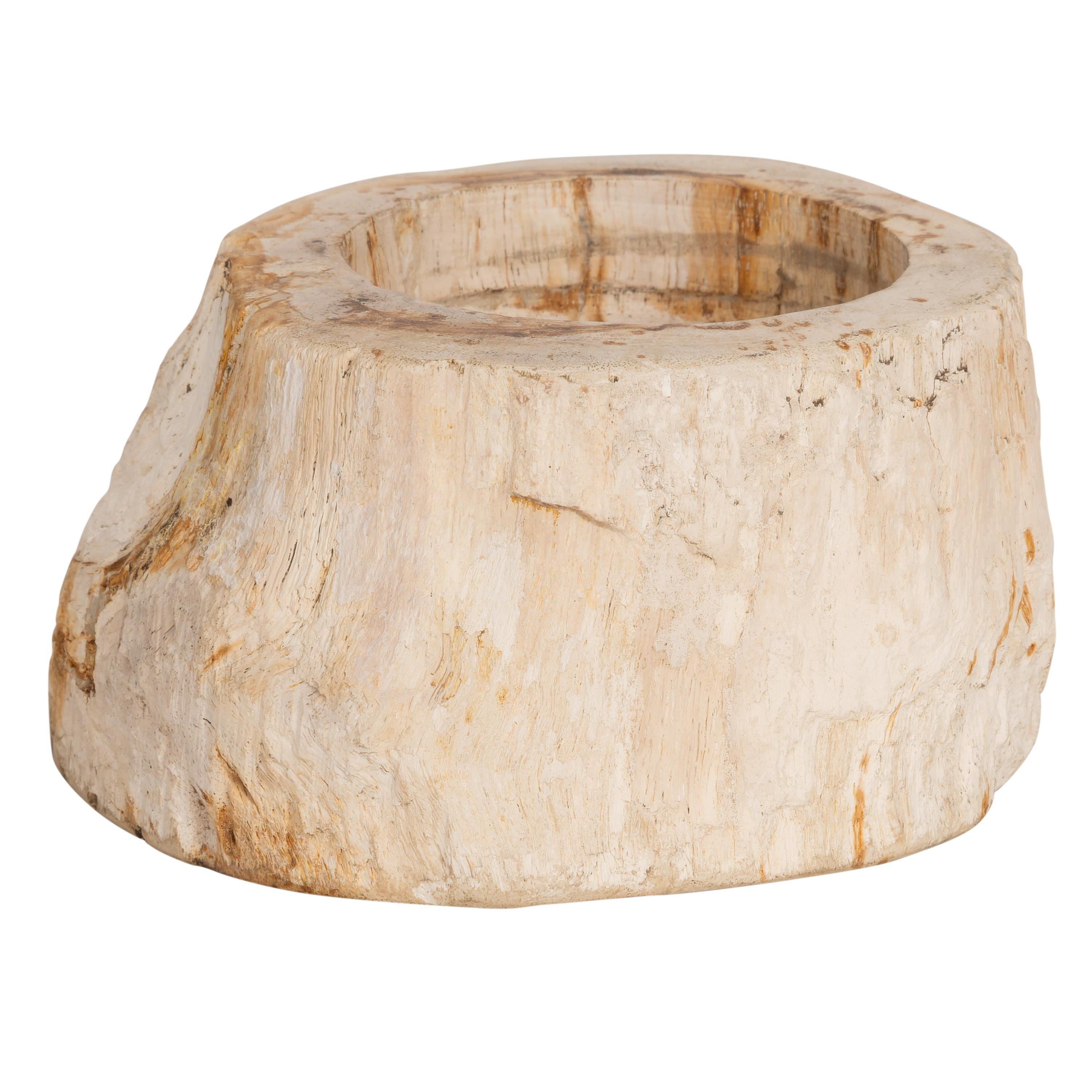 Yuvarlak Mumluk Fosil Ağaç - 12 cm x 7 cm