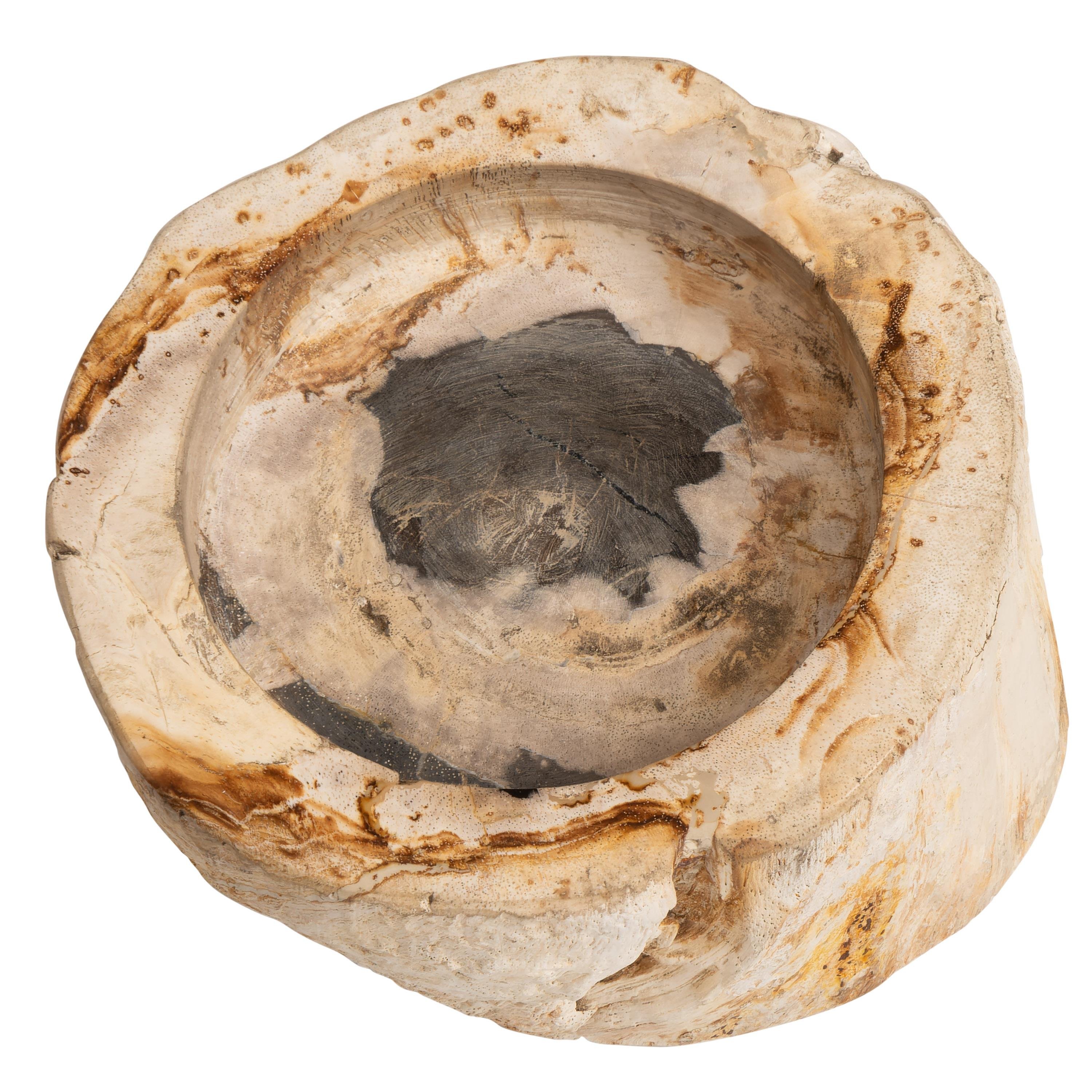 Yuvarlak Mumluk Fosil Ağaç - 12 cm x 7 cm