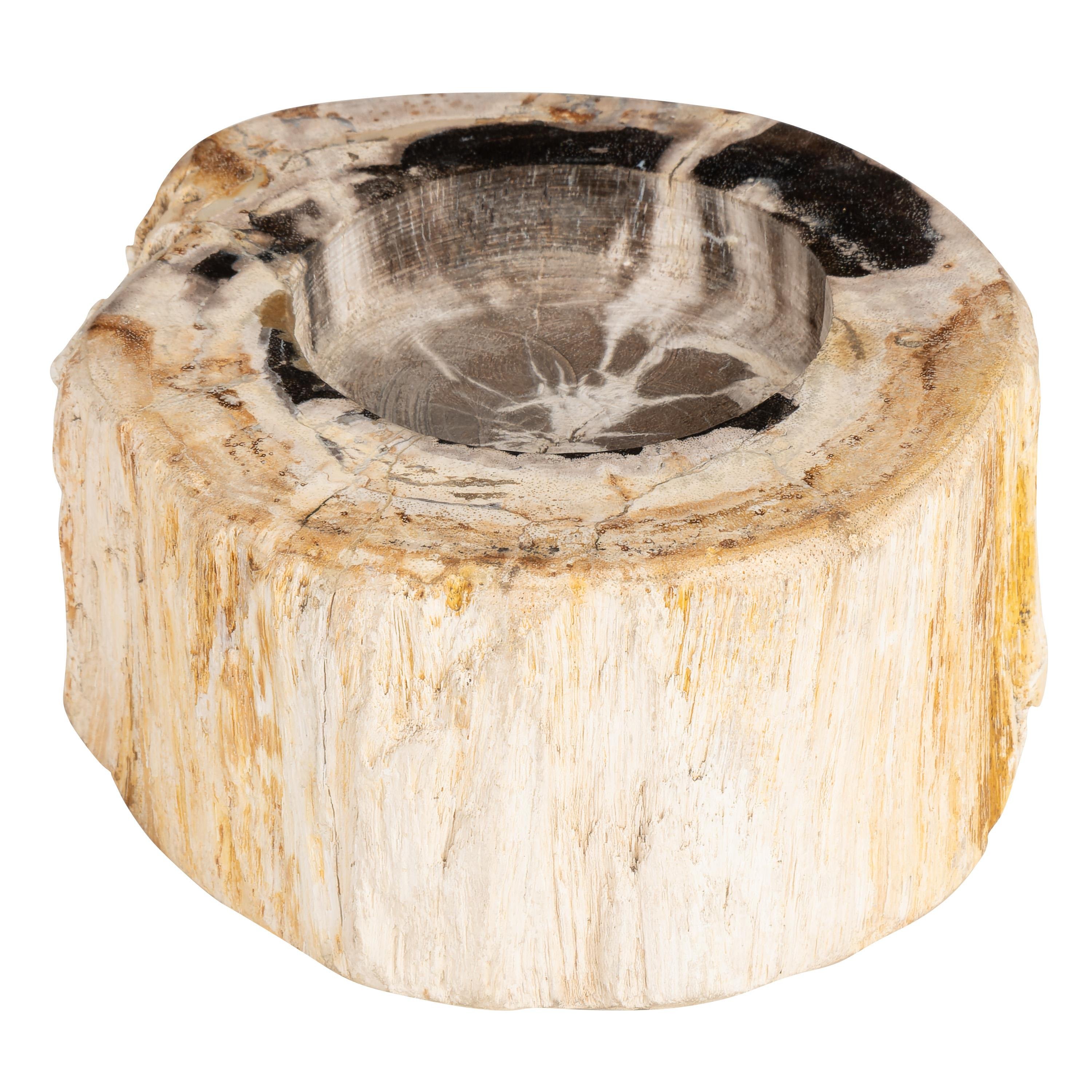 Yuvarlak Mumluk Fosil Ağaç - 12 cm x 7 cm