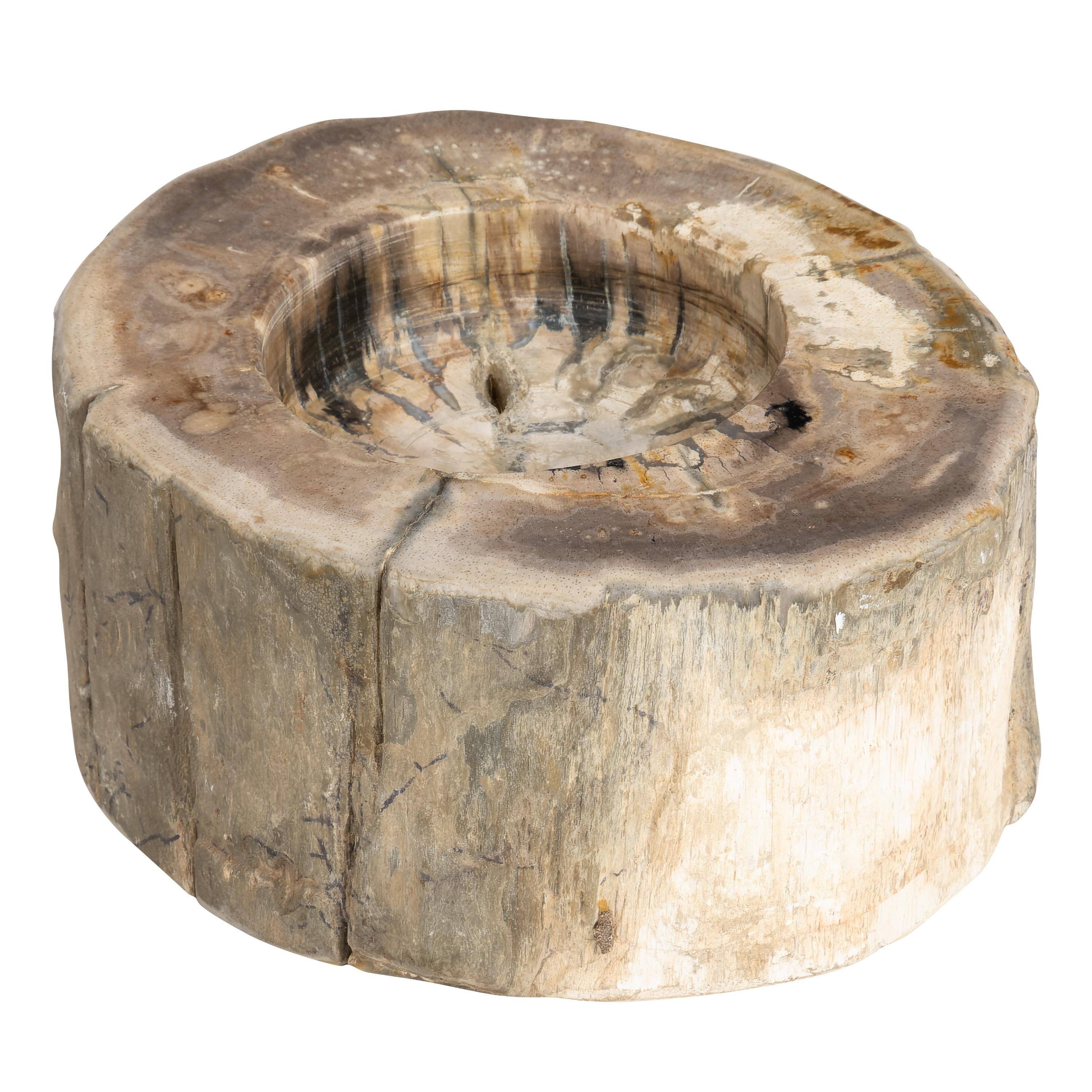 Yuvarlak Mumluk Fosil Ağaç - 12 cm x 7 cm