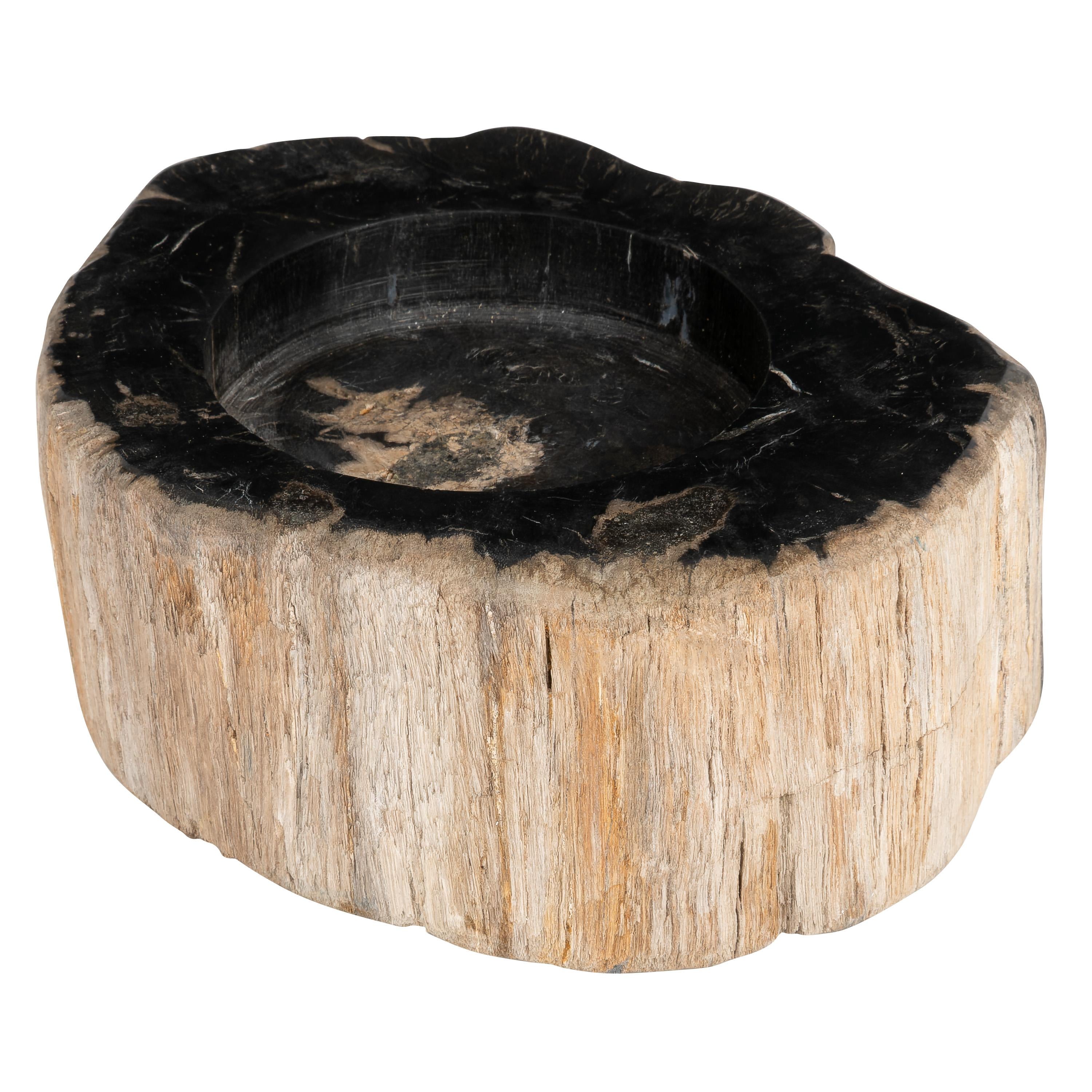 Yuvarlak Mumluk Fosil Ağaç - 12 cm x 7 cm