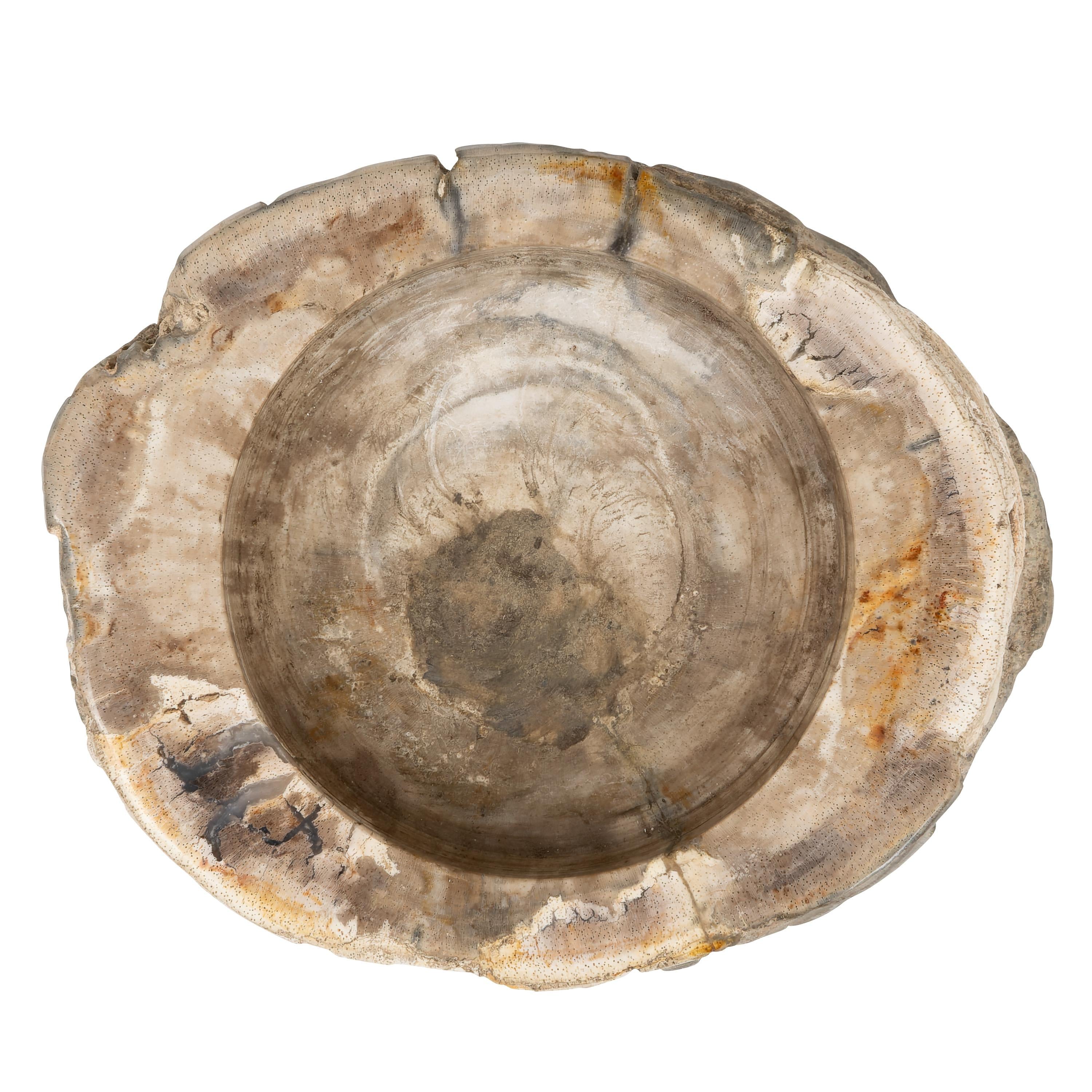 Yuvarlak Mumluk Fosil Ağaç - 12 cm x 7 cm