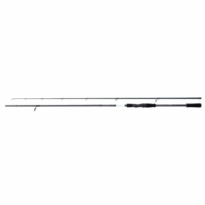 Shimano Bassterra XT+ Spin Sea Olta Kamışı 2,74m 9'0