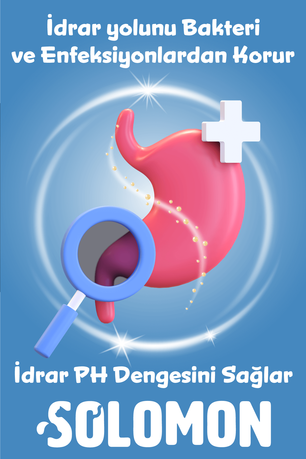 Kedi ve Köpekler için Urinary Plus D