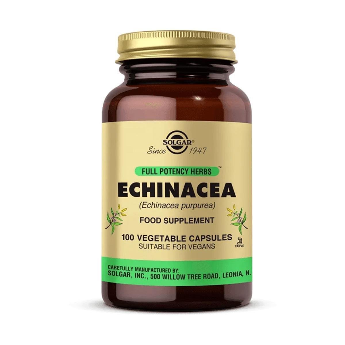 Solgar Echinacea 100 Kapsül 