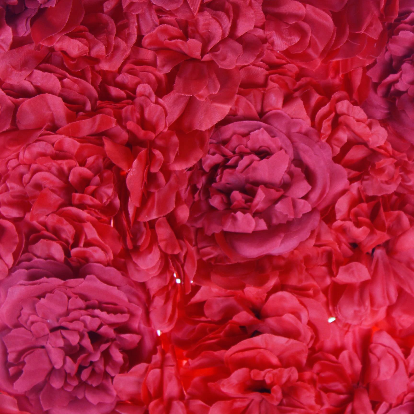 ÇİÇEK PANOSU BÜYÜK ORTANCA ŞAKAYIK 40X60CM