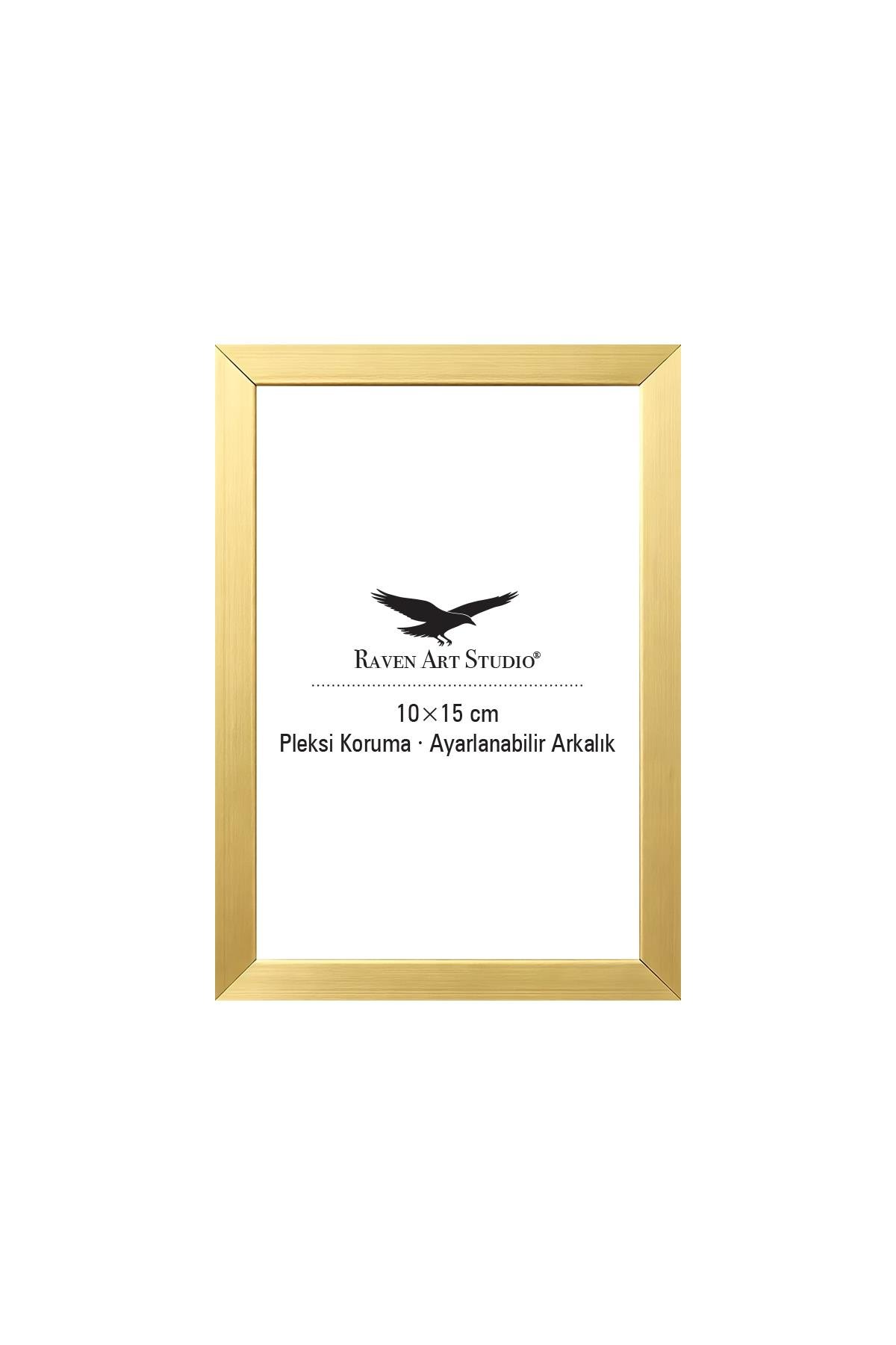 Ermitaj 10cm x 15cm Resim Altın Fotoğraf Belge Poster Evrak Çerçevesi Korumalı Kırılmaz Pleksi Cam