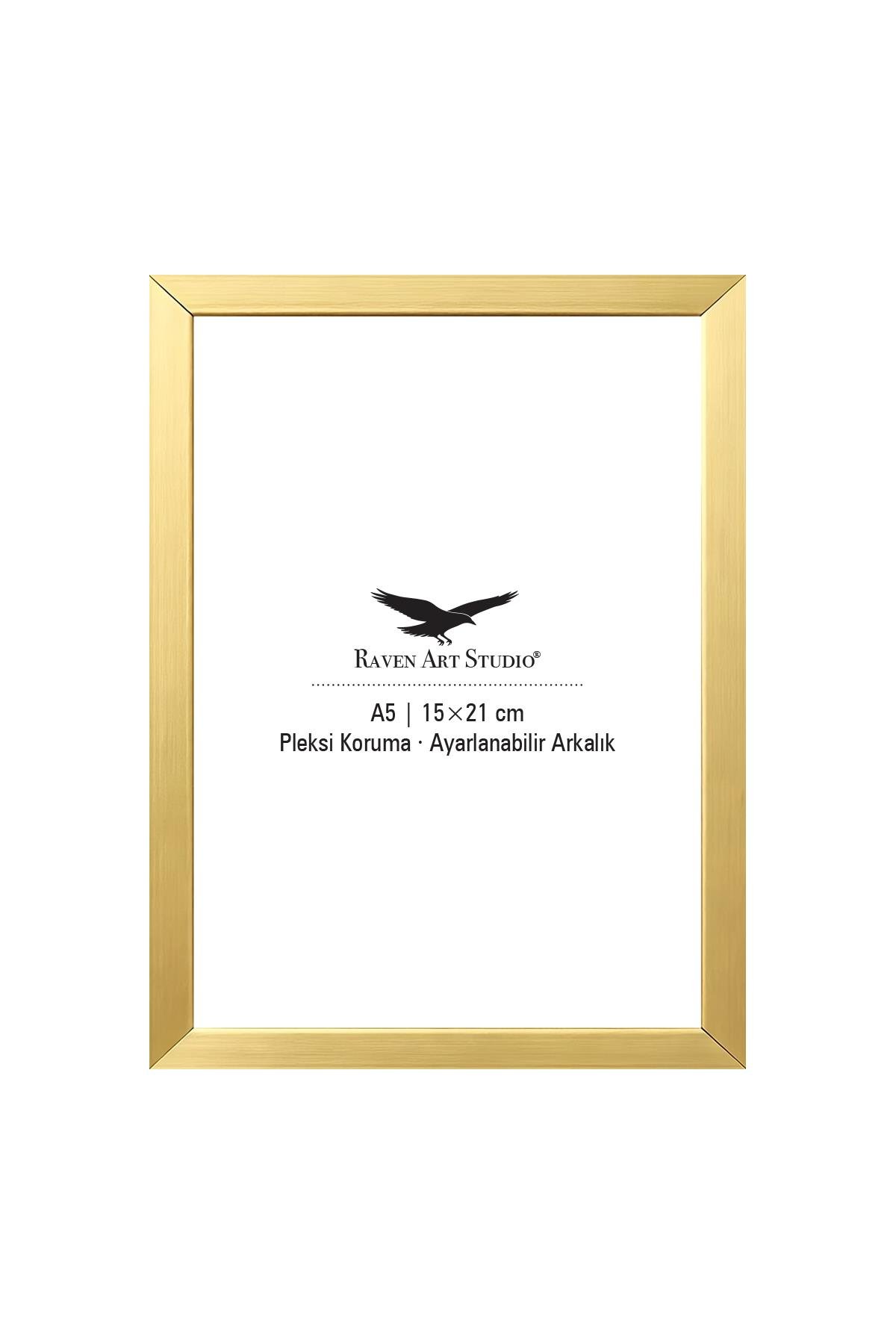 Ermitaj 15cm x 21cm Altın Resim Fotoğraf Belge Poster Evrak Çerçevesi Korumalı Kırılmaz Pleksi Cam