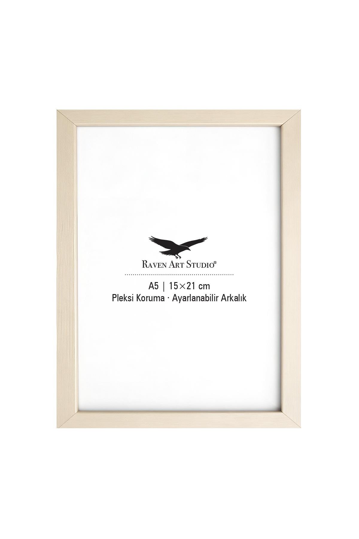 Ermitaj 15cm x 21cm Sedef Resim Fotoğraf Belge Poster Evrak Çerçevesi Korumalı Kırılmaz Pleksi Cam