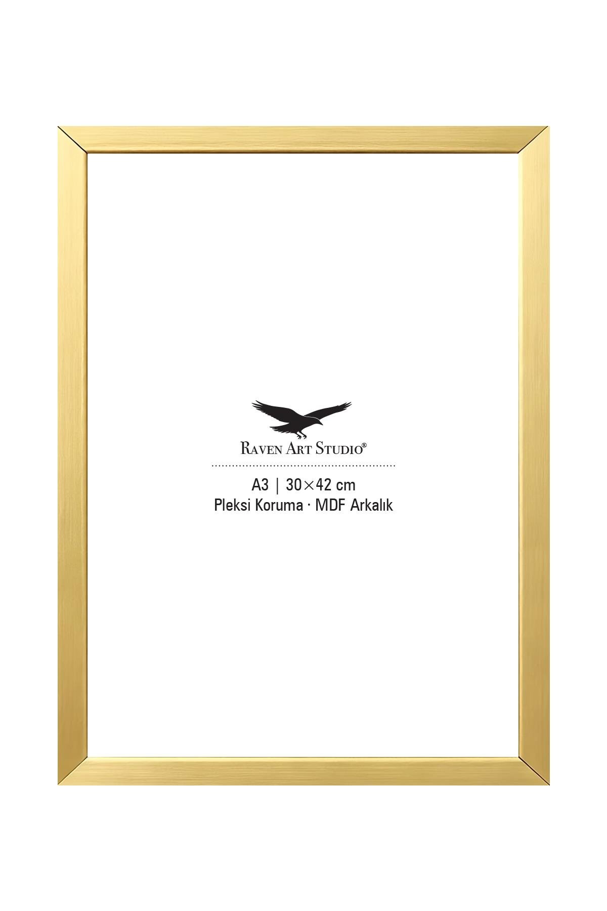 Ermitaj A3 Ebat 30cm x 42cm Altın Resim Fotoğraf Belge Poster Evrak Çerçevesi Korumalı Kırılmaz Pleksi Cam