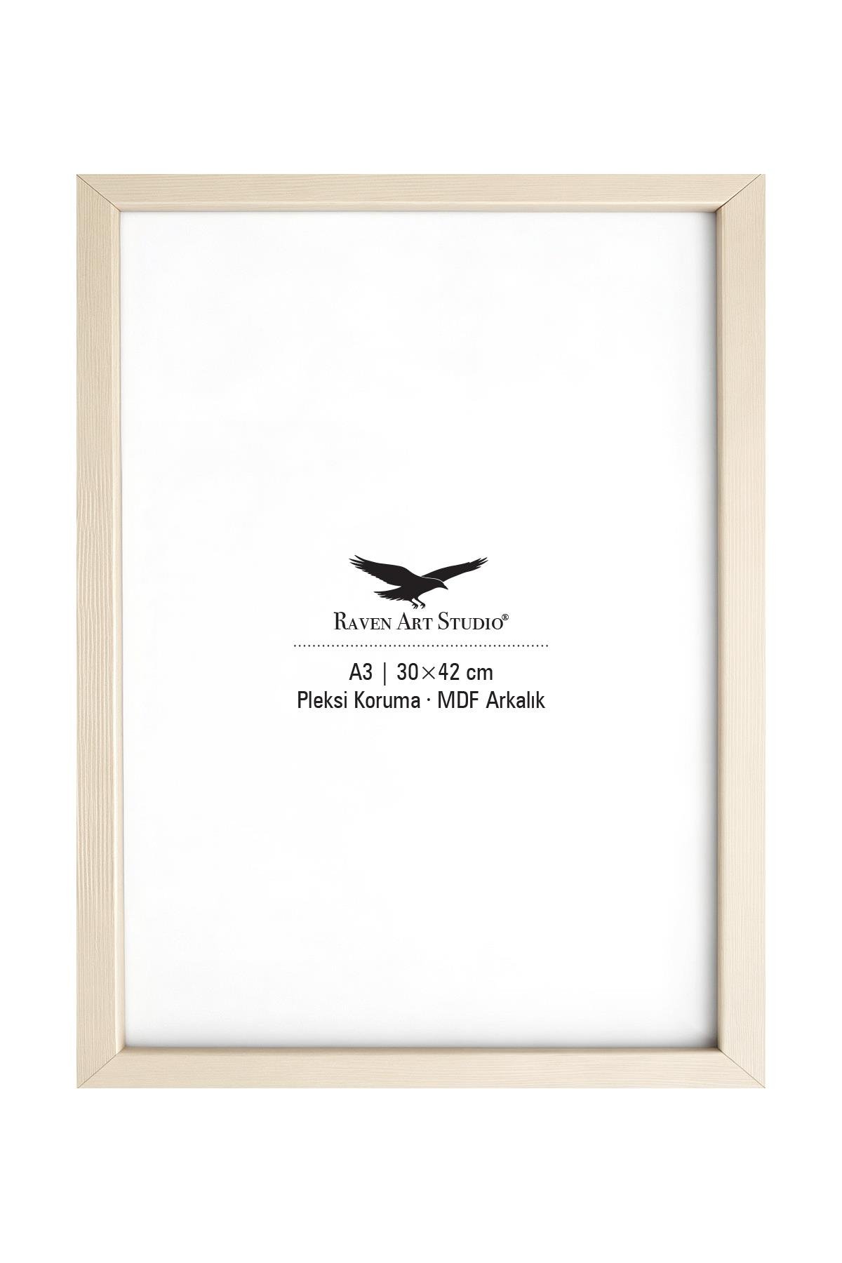 Ermitaj A3 Ebat 30cm x 42cm Sedef Resim Fotoğraf Belge Poster Evrak Çerçevesi Korumalı Kırılmaz Pleksi Cam