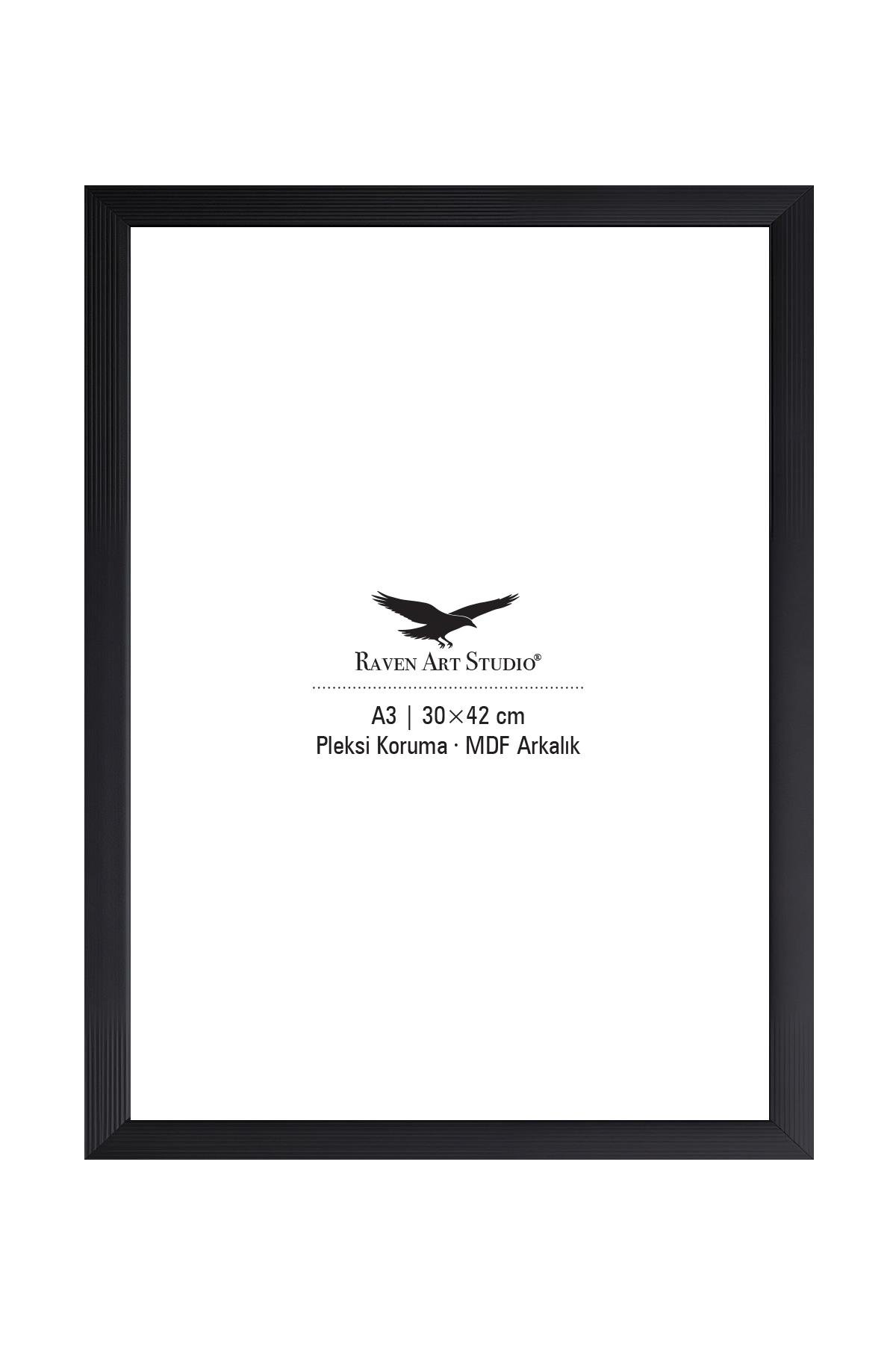 Ermitaj A3 Ebat 30cm x 42cm Siyah Resim Fotoğraf Belge Poster Evrak Çerçevesi Korumalı Kırılmaz Pleksi Cam