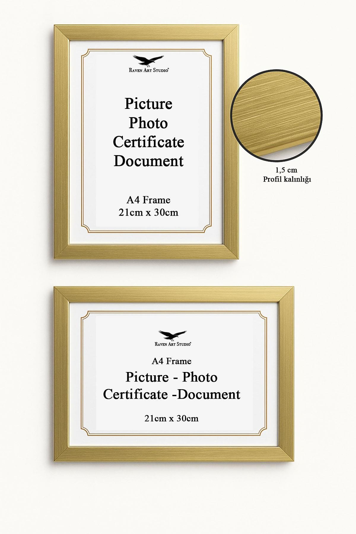 Ermitaj A4 Ebat 21cm x 30cm Altın Resim Fotoğraf Belge Poster Evrak Çerçevesi Korumalı Kırılmaz Pleksi Cam