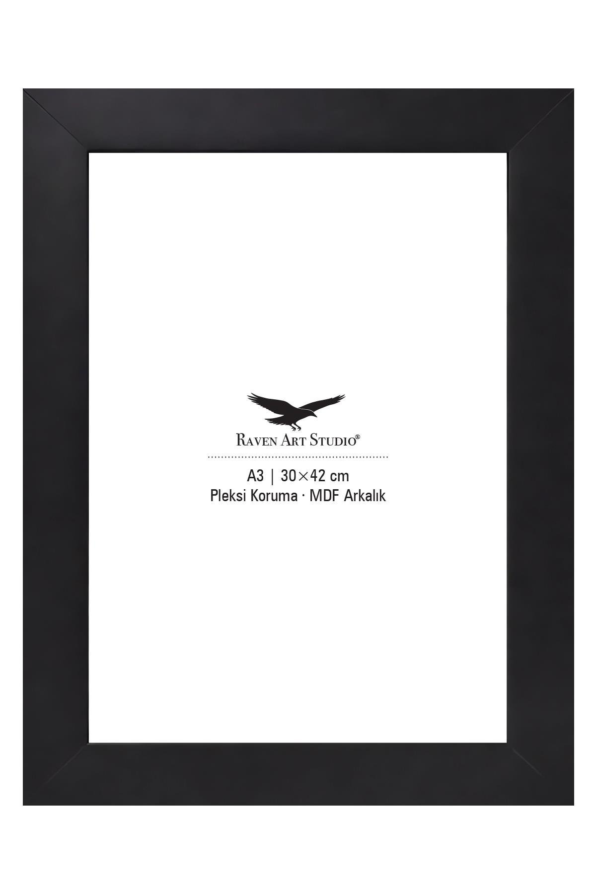 Modern A3-30x42cm Siyah Korumalı Kırılmaz Pleksi Cam Resim Fotoğraf Belge Poster Evrak Çerçevesi