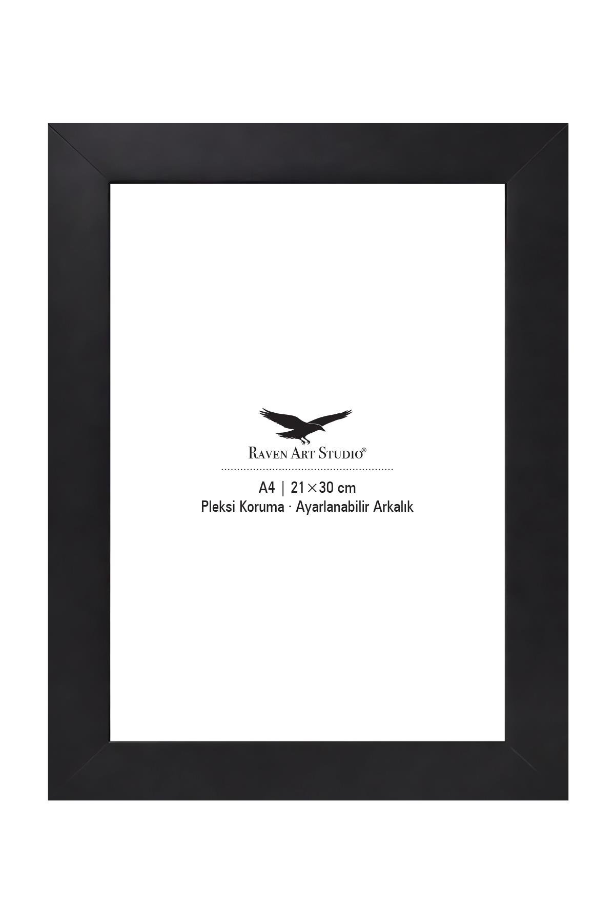 Modern A4-21x30cm Siyah Resim Fotoğraf Belge Poster Evrak Çerçevesi Korumalı Kırılmaz Pleksi Cam