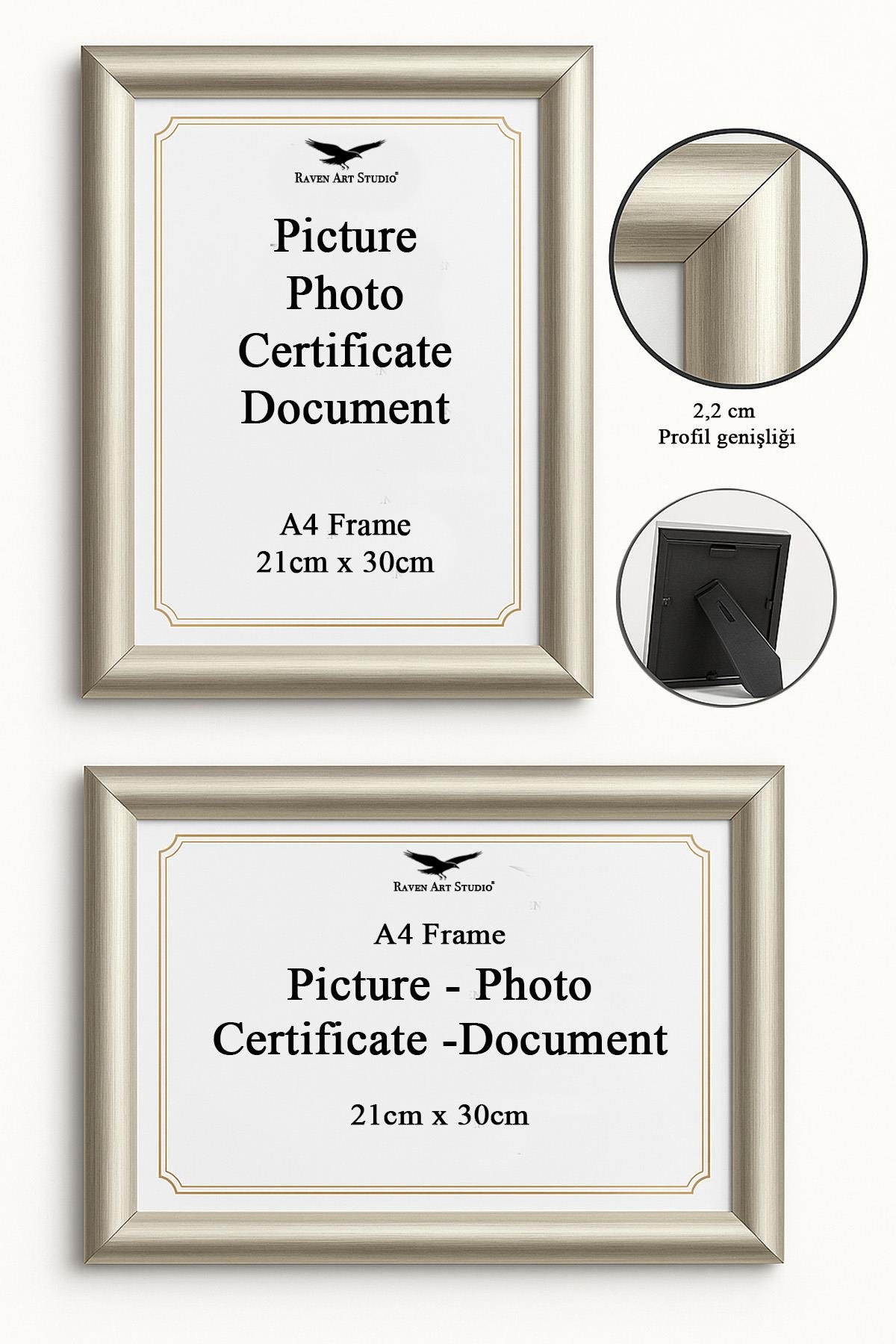 Pergamon A4-21x30cm Platin Resim Fotoğraf Belge Poster Evrak Çerçevesi Korumalı Kırılmaz Pleksi Cam