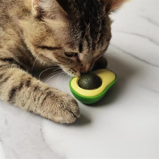 Avokado Model Yapışkanlı Kedi Oyuncağı Yenilebilir Kedi Nanesi Otu (5293)