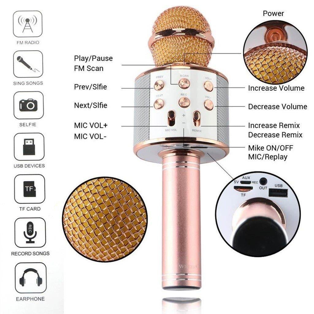 Bluetooth Karaoke Mikrofon (5293)