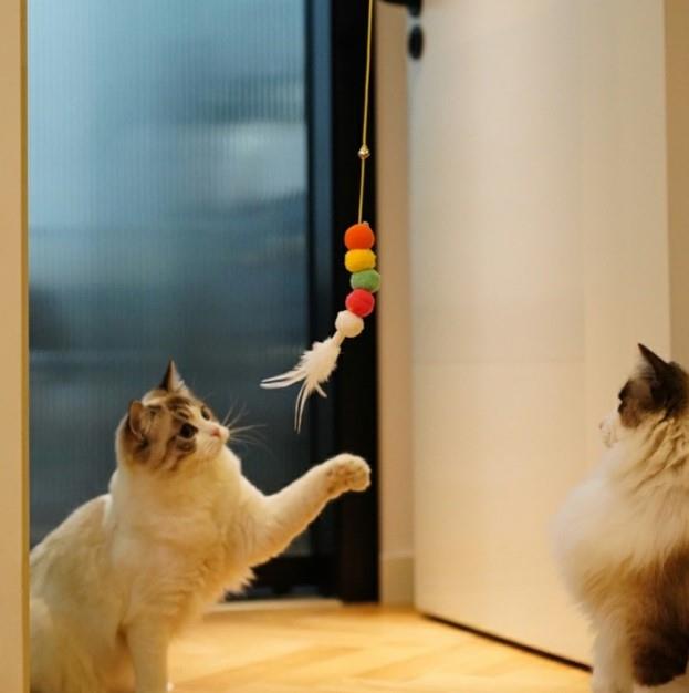Elastik Kendinden Yapışkanlı Solucan Kedi Oltası (5293)