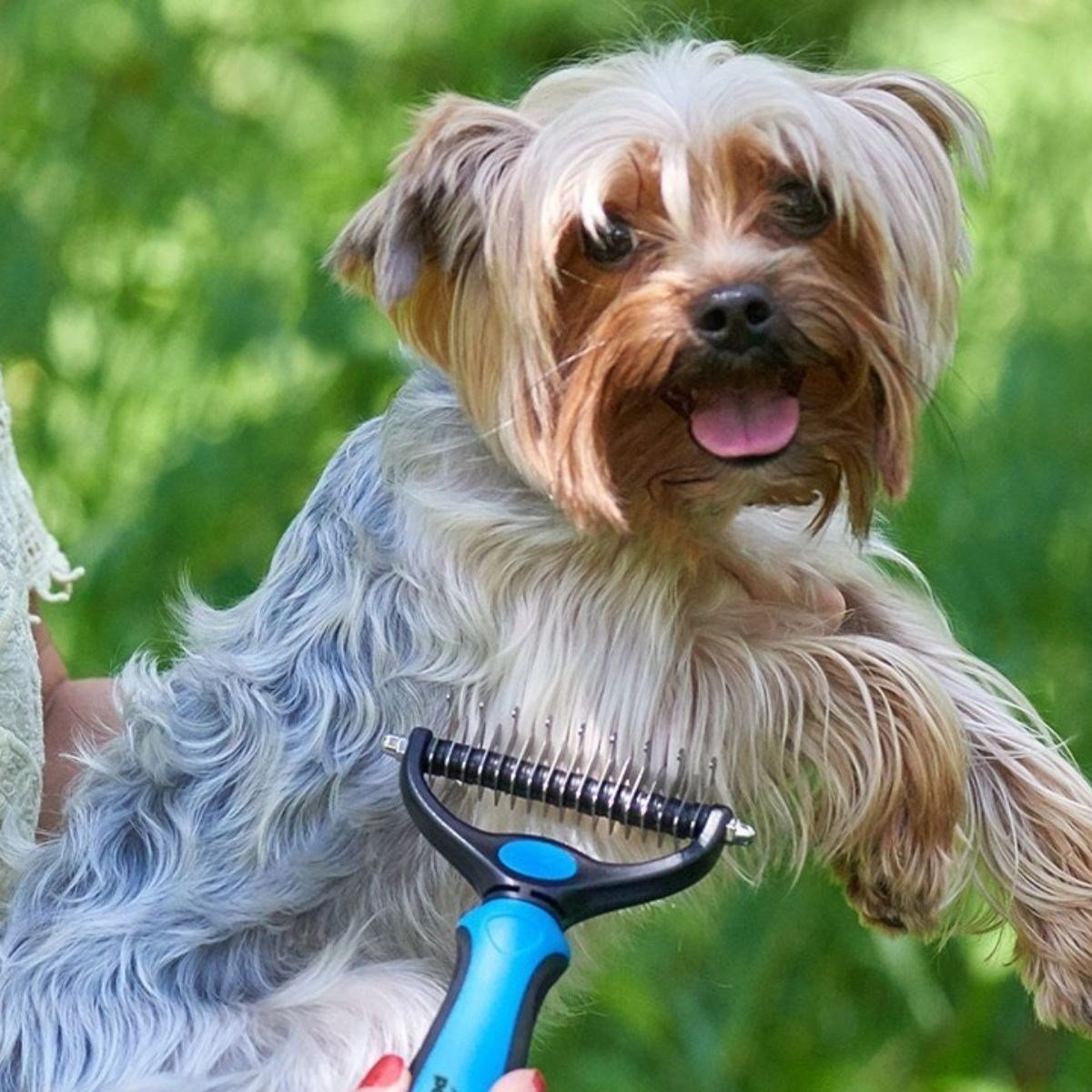 Plastik Saplı Metal Kedi Köpek Bakım Kıtık Tüy Topak Açıcı Tarak (5293)