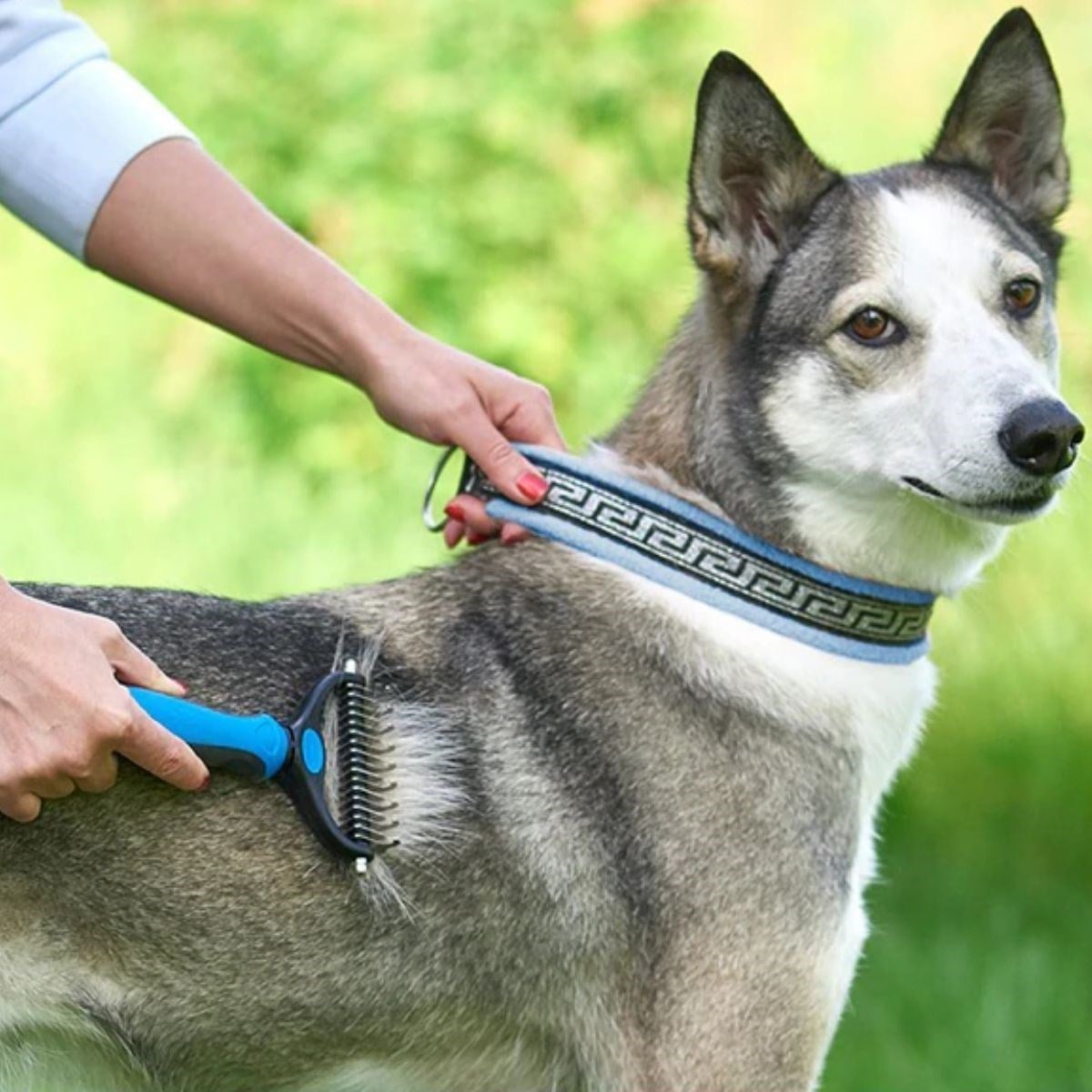 Plastik Saplı Metal Kedi Köpek Bakım Kıtık Tüy Topak Açıcı Tarak (5293)