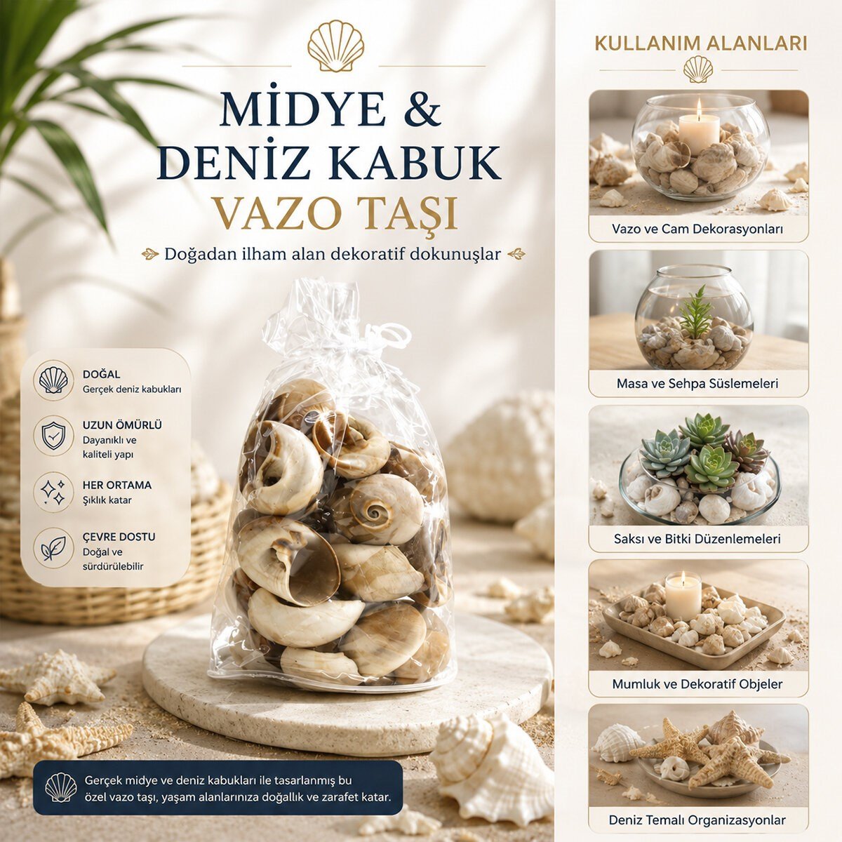 POŞETLİ RENKLİ MİX MİDYE - DENİZ KABUK VAZO TAŞI (5293)