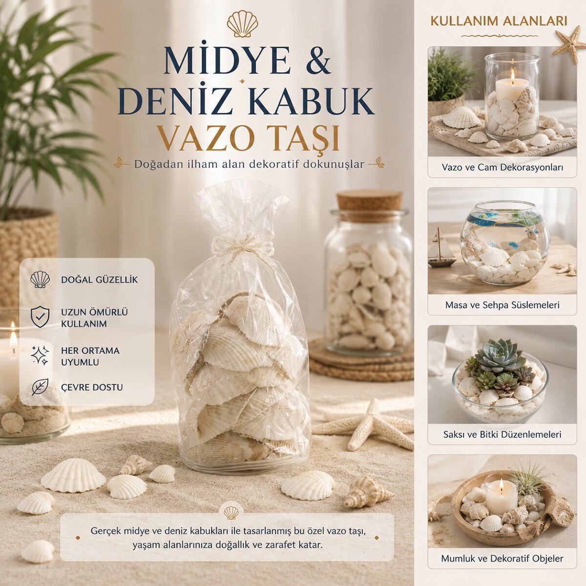 POŞETLİ RENKLİ MİX MİDYE - DENİZ KABUK VAZO TAŞI (5293)