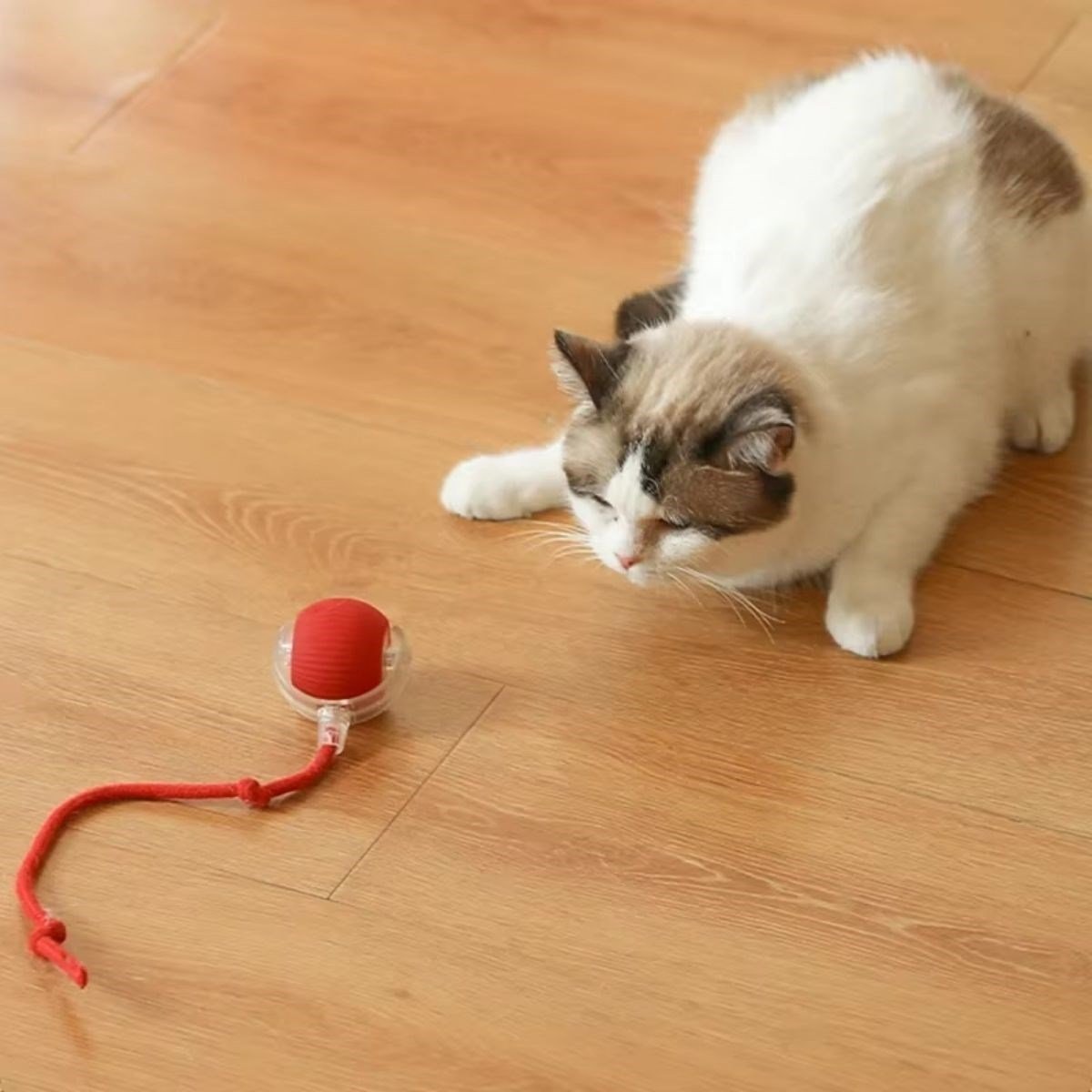 Şarjlı Otomatik Hareketli Kedi Köpek İçin 360 Derece Dönen İnteraktif Akıllı Oyun Topu (5293)