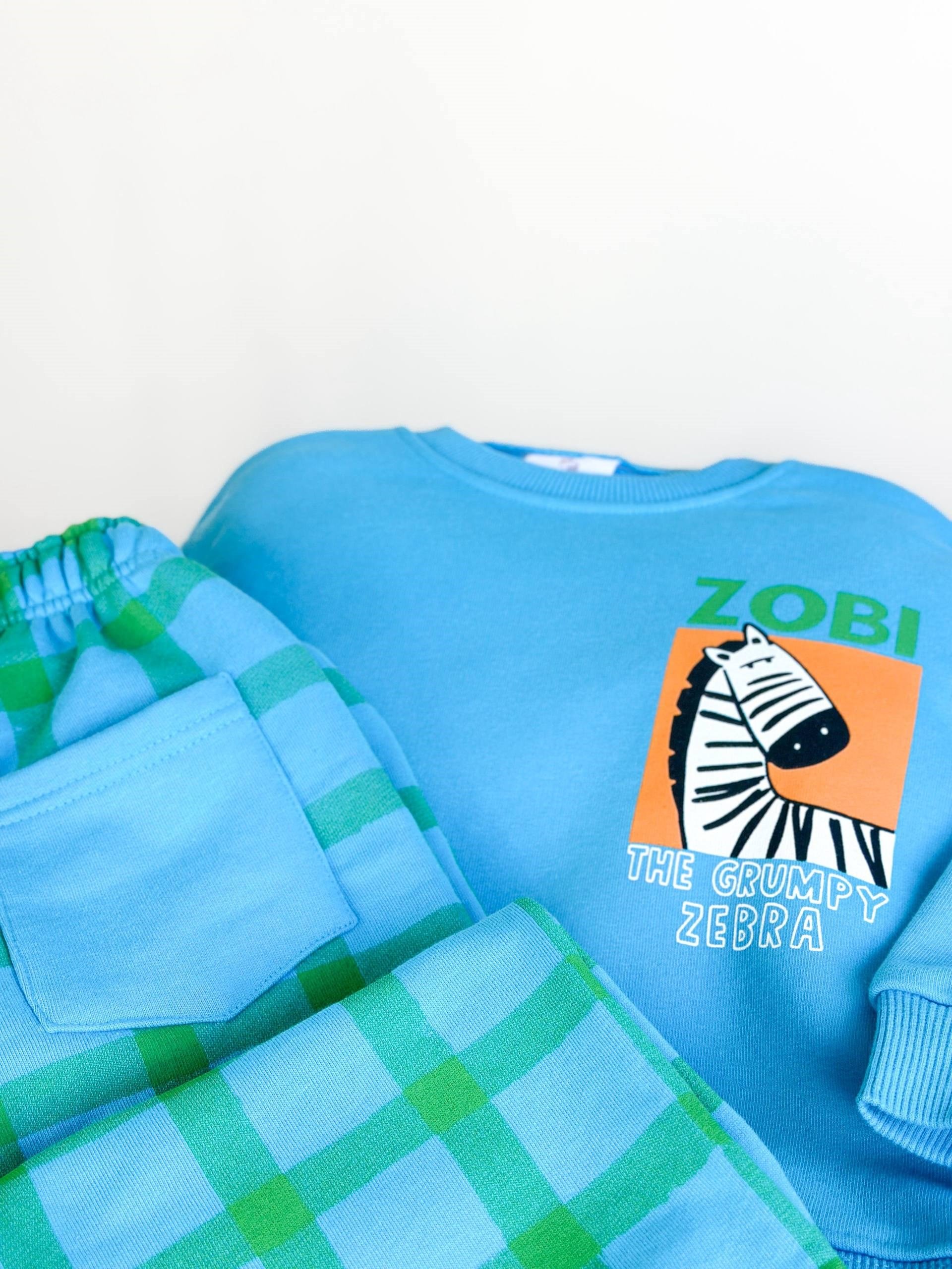CARTOON ZEBRA SET