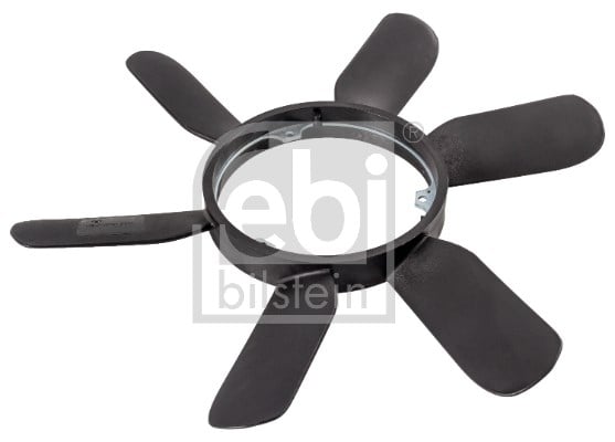 FAN GÖBEĞİ 6 KANAT