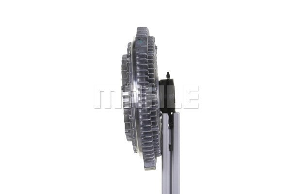FAN TERMİĞİ